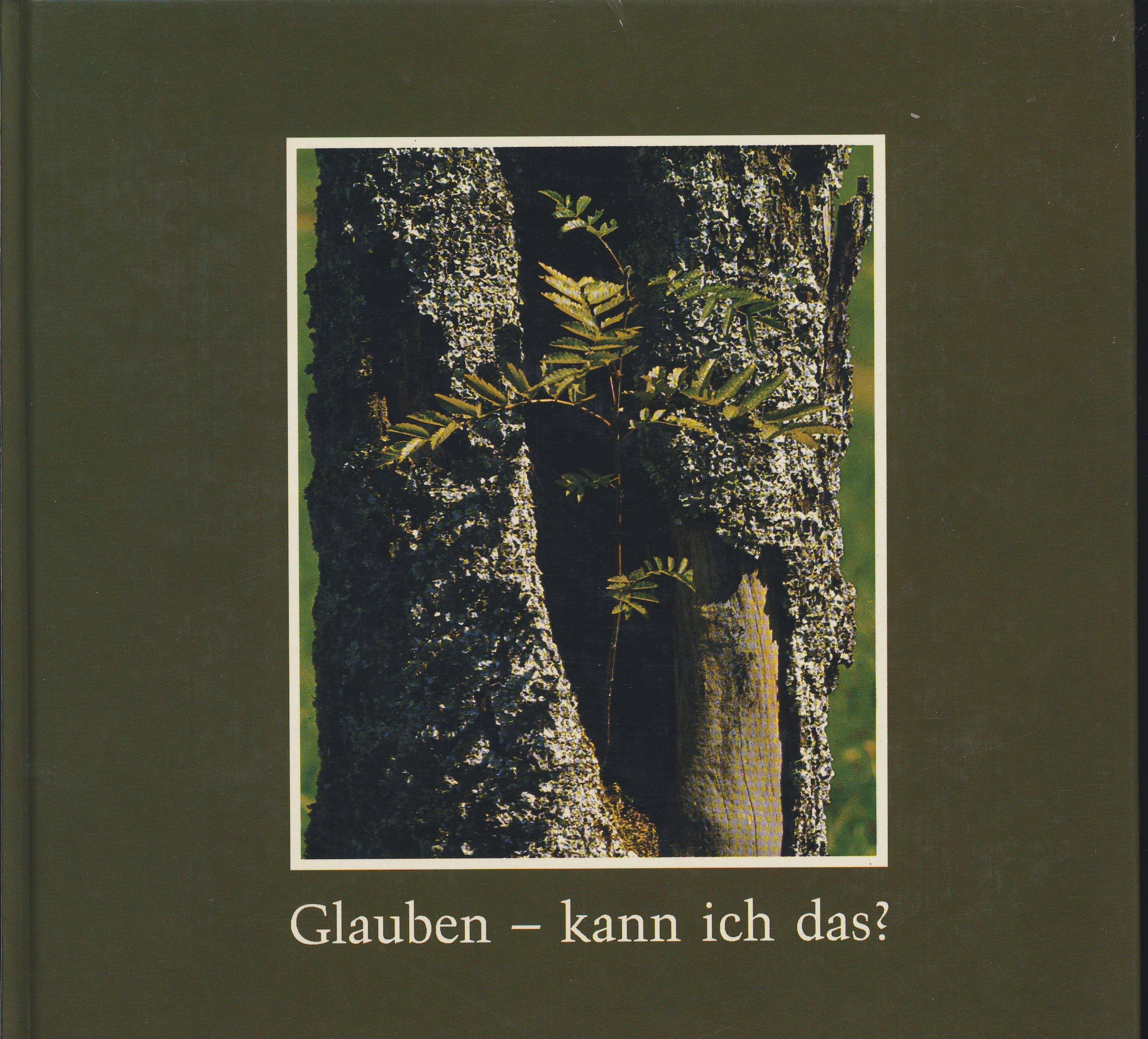 Glauben - kann ich das?. Texte von und über Pater Joseph Kentenich Books