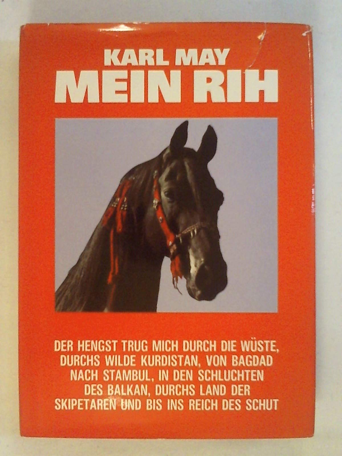 Mein Rih: Zus.gest. u. hrsg. v. Carl-Heinz Dömken Books