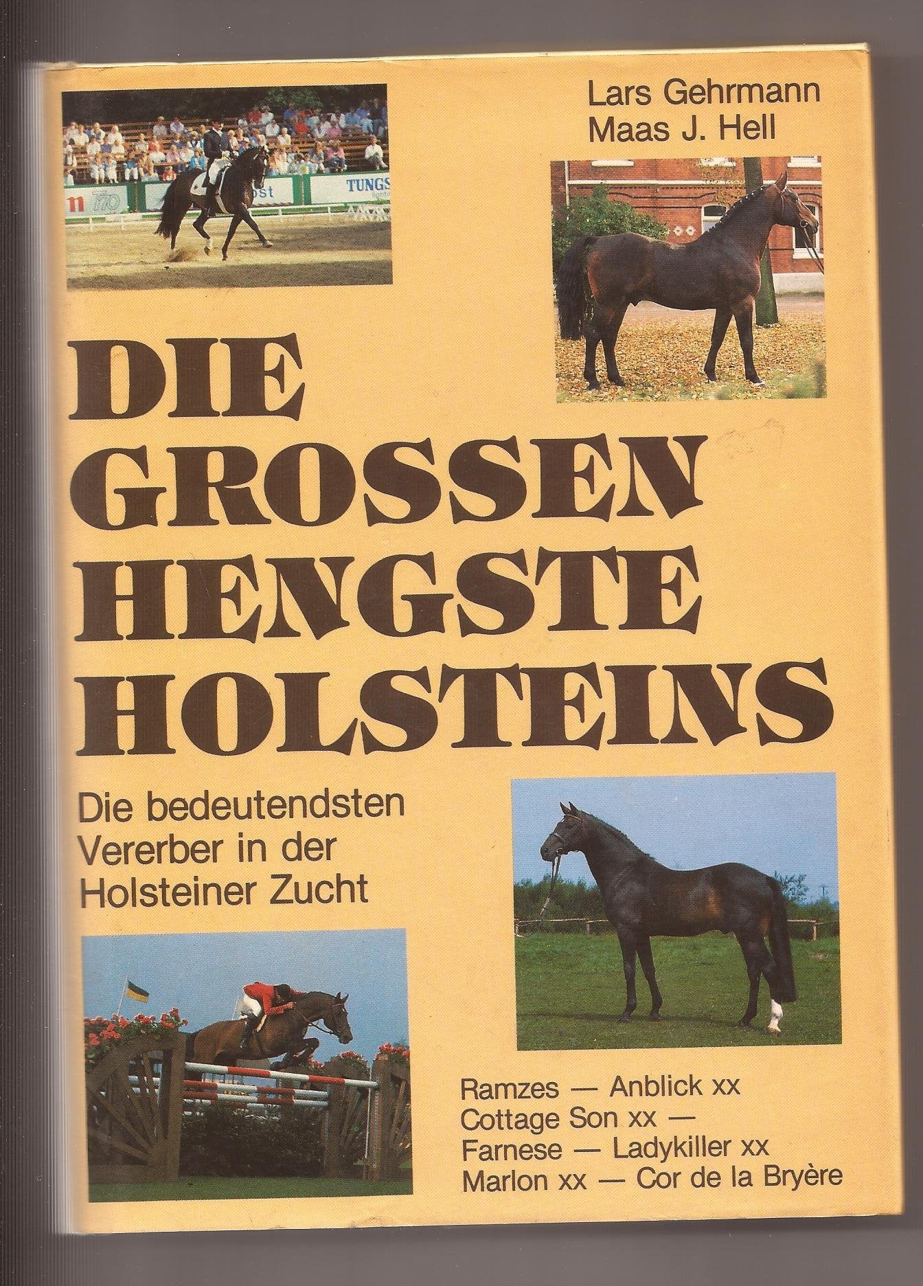 Die großen Hengste Holsteins (5706 807). Die bedeutendsten Vererber in der Holsteiner Zucht Natural Sciences