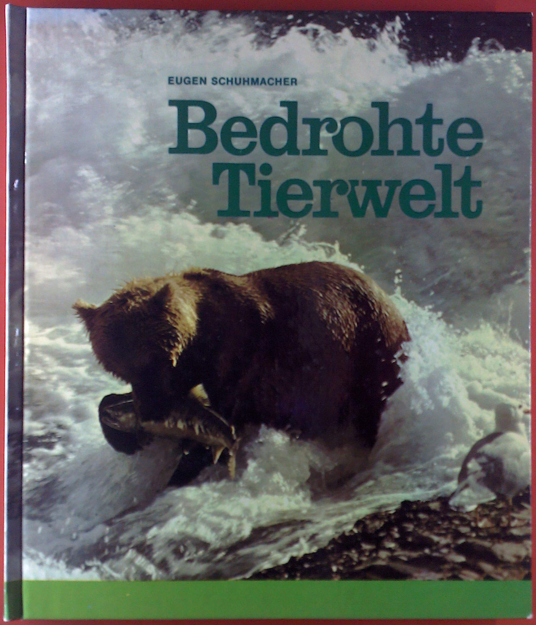 Bedrohte Tierwelt. Sieben Jahre Filmarbeit auf allen Kontinenten Books