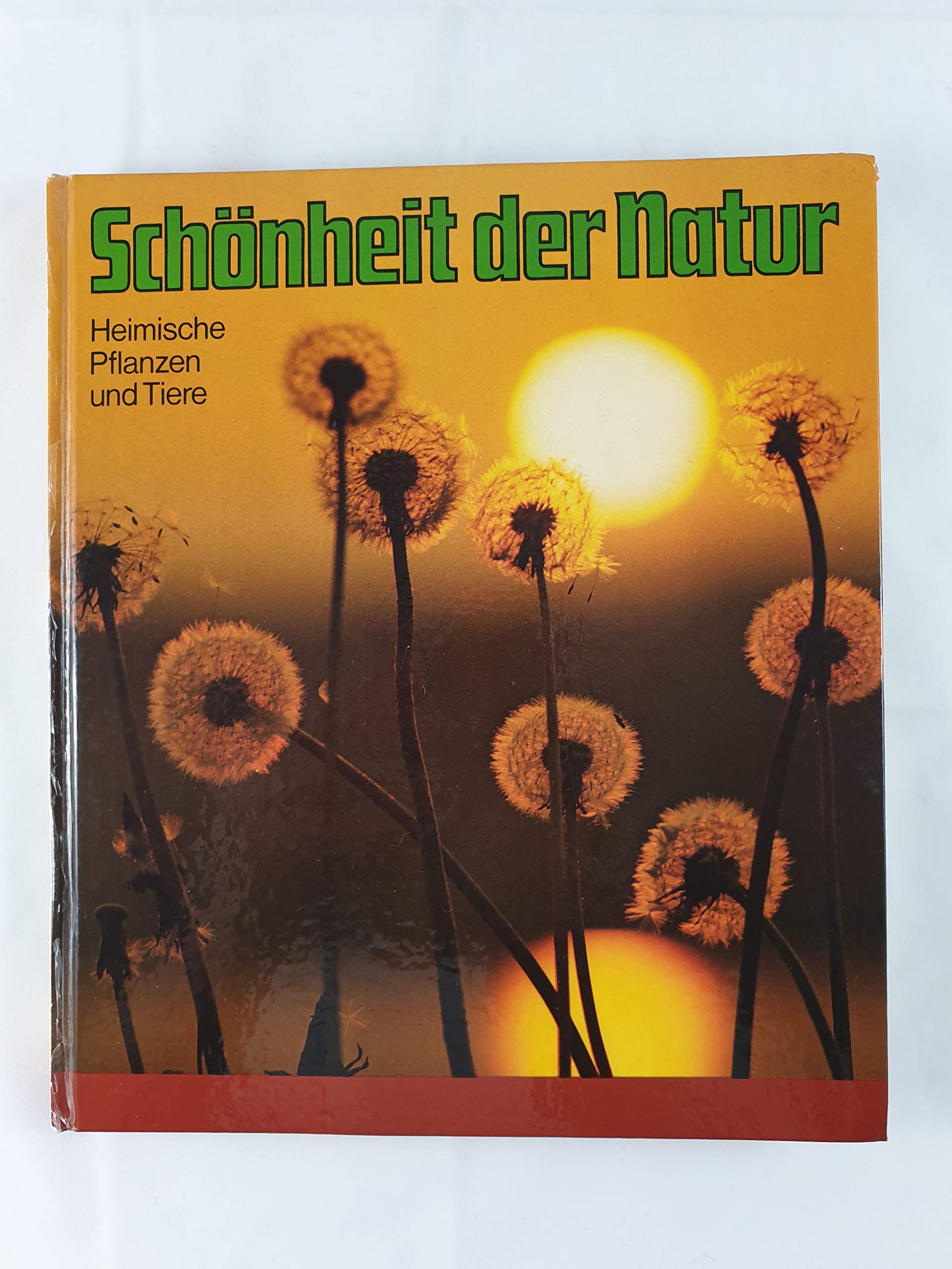 Schönheit der Natur : Heimische Pflanzen und Tiere. Books