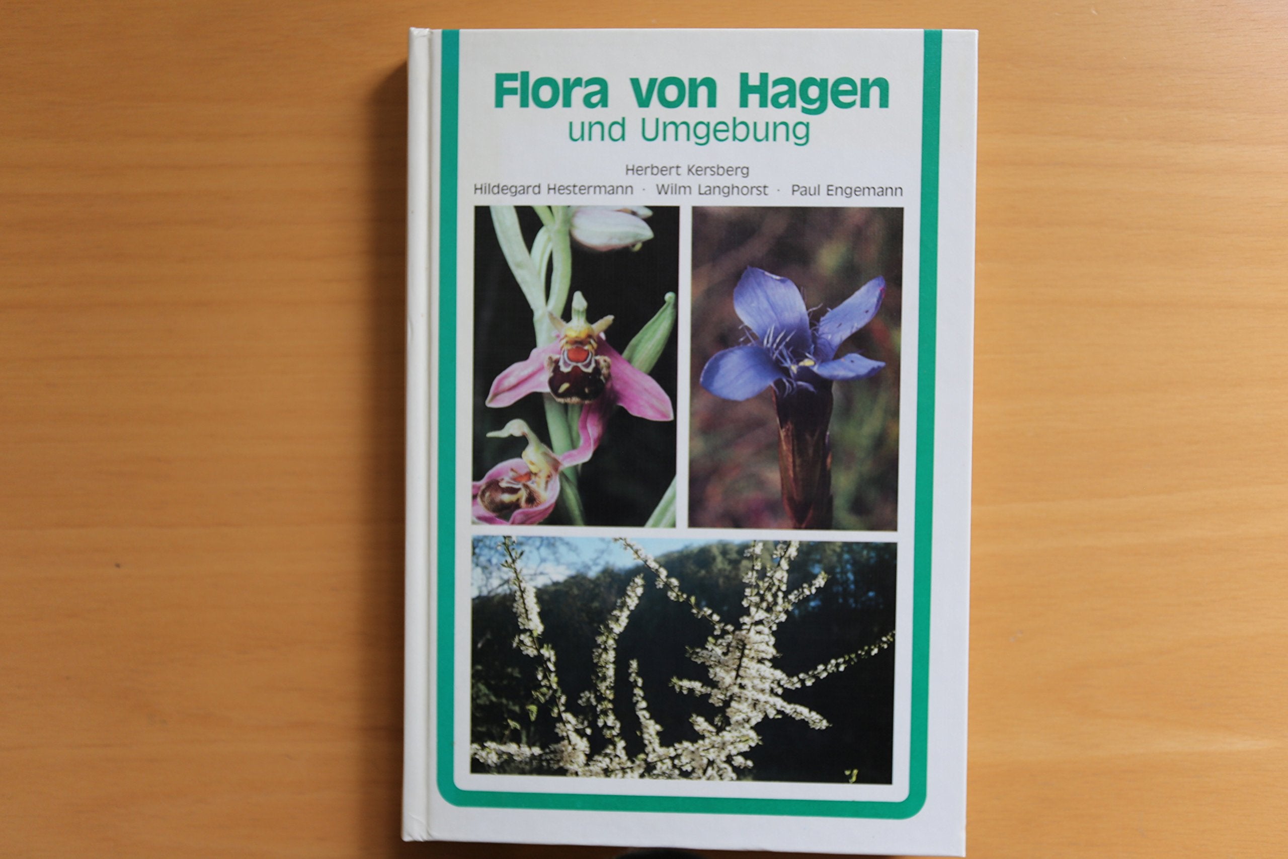 Flora von Hagen und Umgebung Books