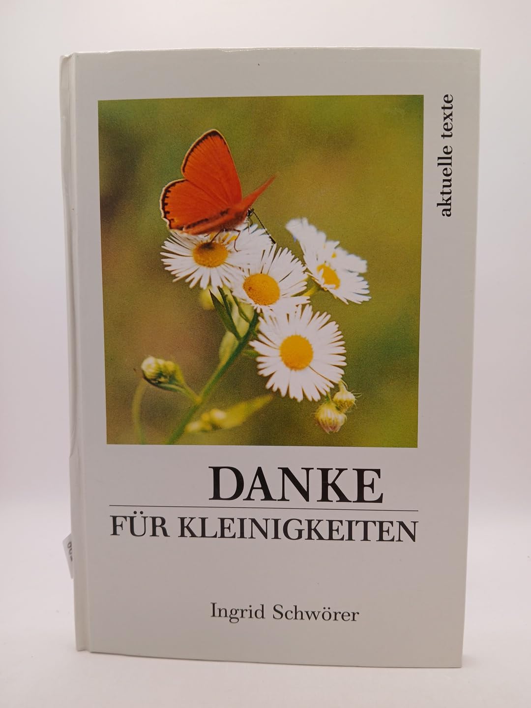 Danke für Kleinigkeiten Books