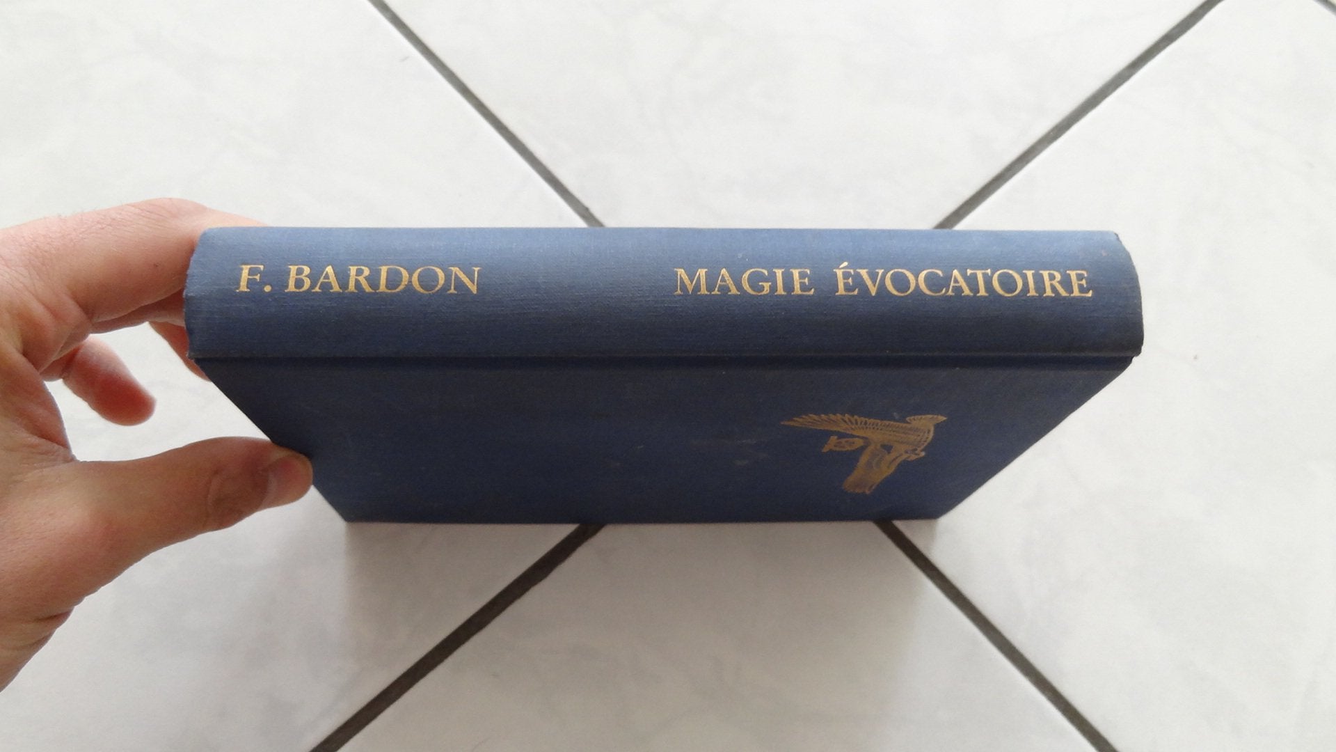 La Pratique De La Magie Evocatoire. Instructions Pour Evoquer Les Etres Spirituels Vivant Sur Les Spheres Qui Nous Environnent Books