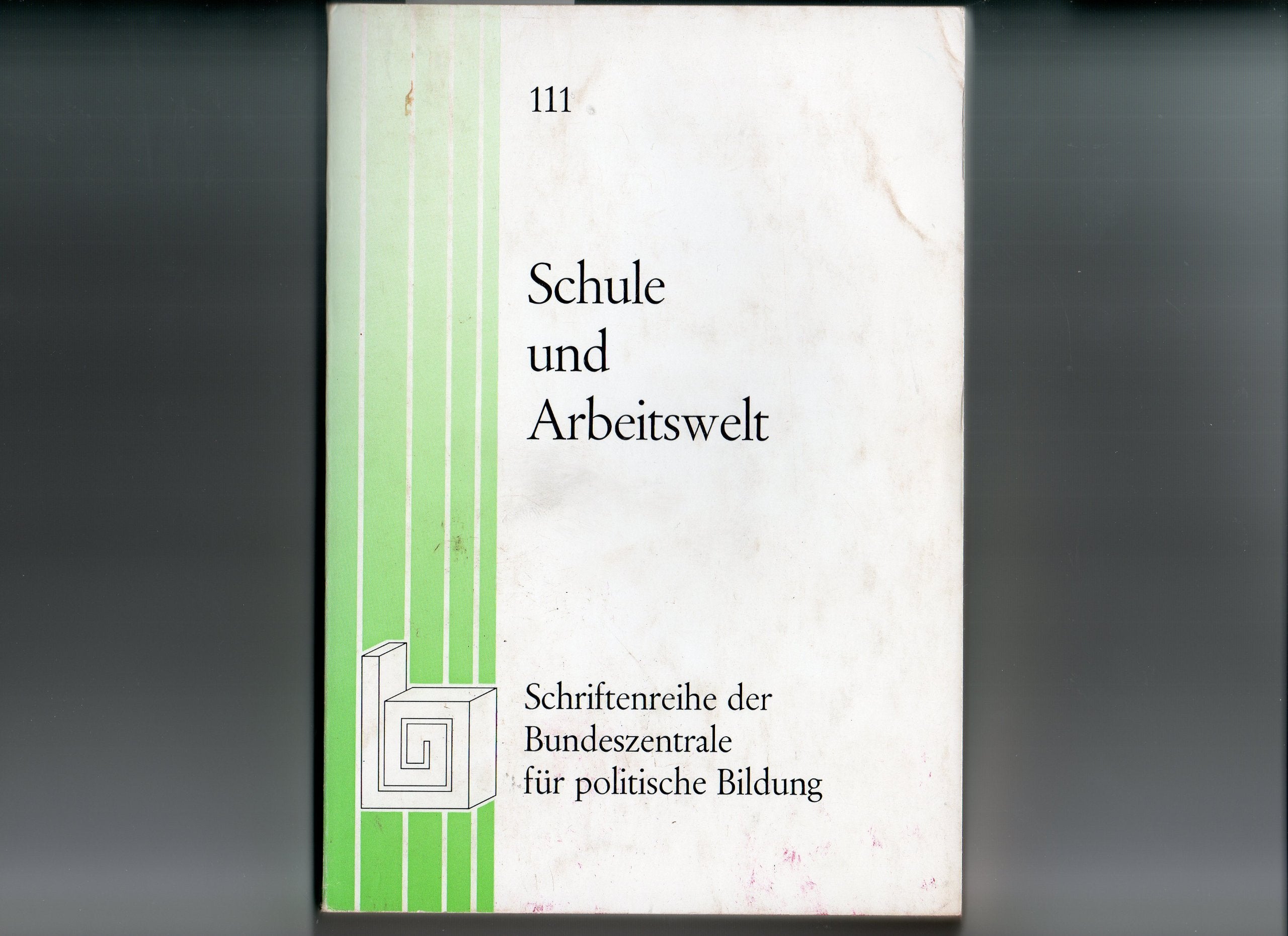 Schule und Arbeitswelt (Schriftenreihe der Bundeszentrale für Politische Bildung) Books