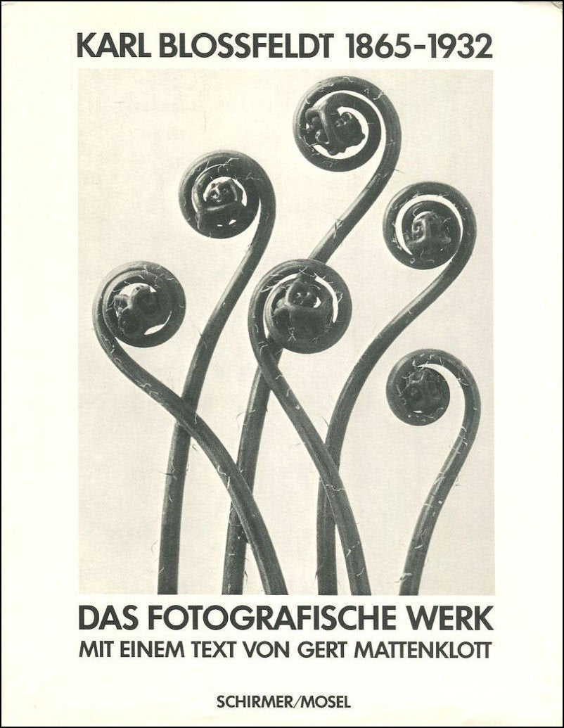 Karl Blossfeldt 1865-1932 : Das fotografische Werk Photography