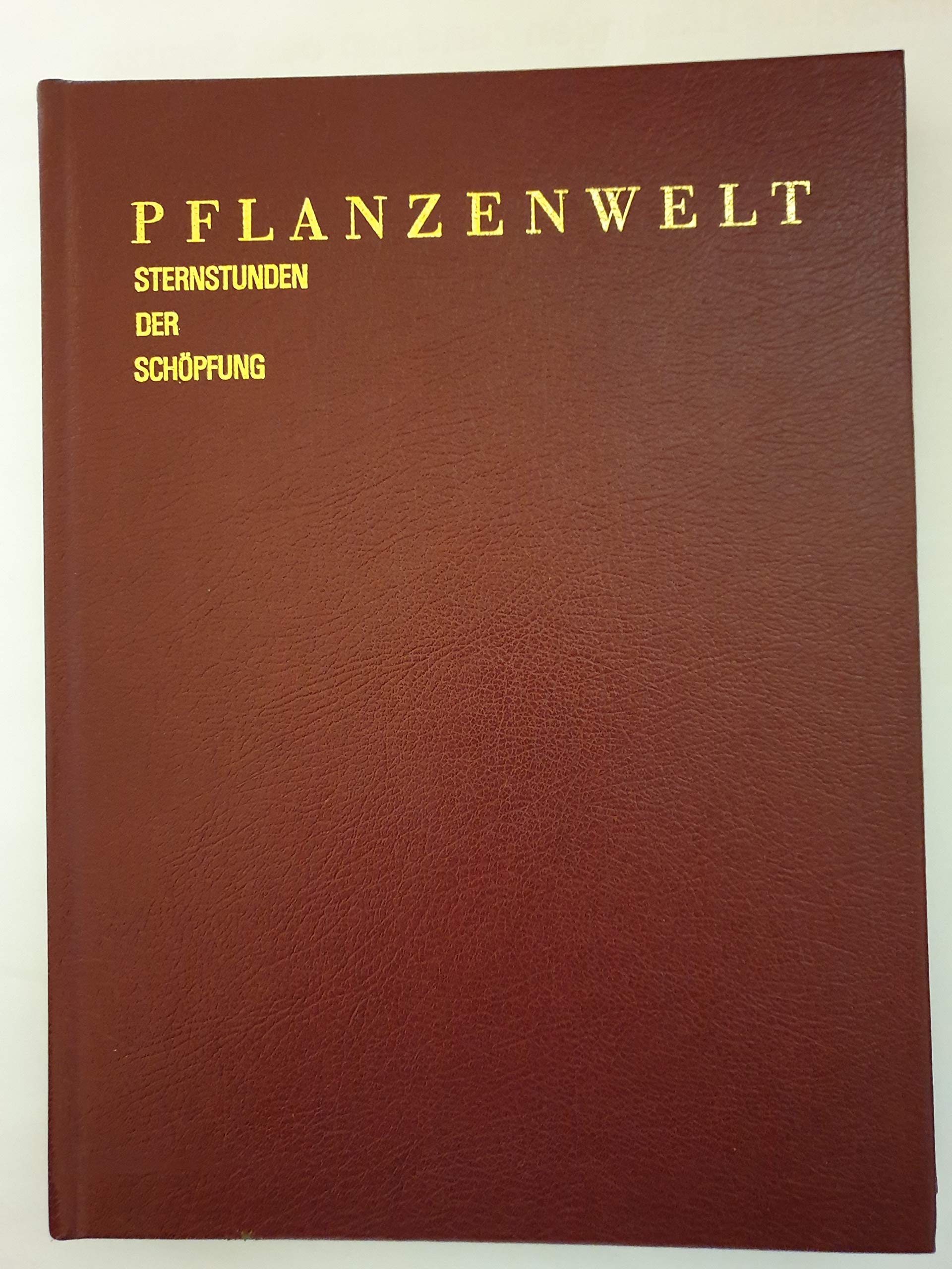 Pflanzenwelt (Sternstunden der Schöpfung) Leisure, Home & Garden