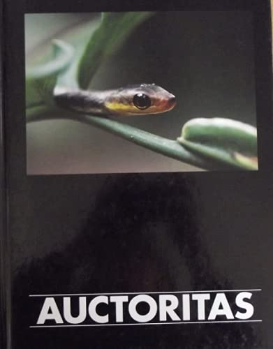 Auctoritas. Verantwortung /Responsabilitá /Responsabilité /Responsabiblity. Ethica Humana Opus 96/2000. Verantwortung Naturparadies Regenwälder. Dt. /Engl. /Franz. /Ital. Film, Art & Culture
