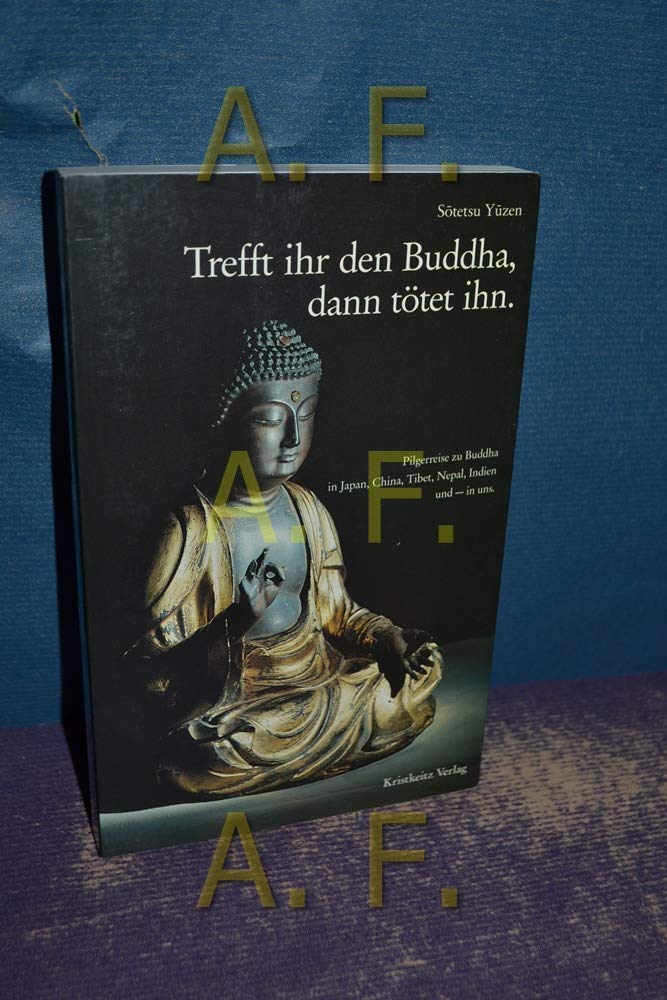 Trefft ihr den Buddha, dann tötet ihn: Pilgerreise zu buddhistischen Stätten in Japan, China, Tibet, Nepal, Indien und - in uns Philosophy