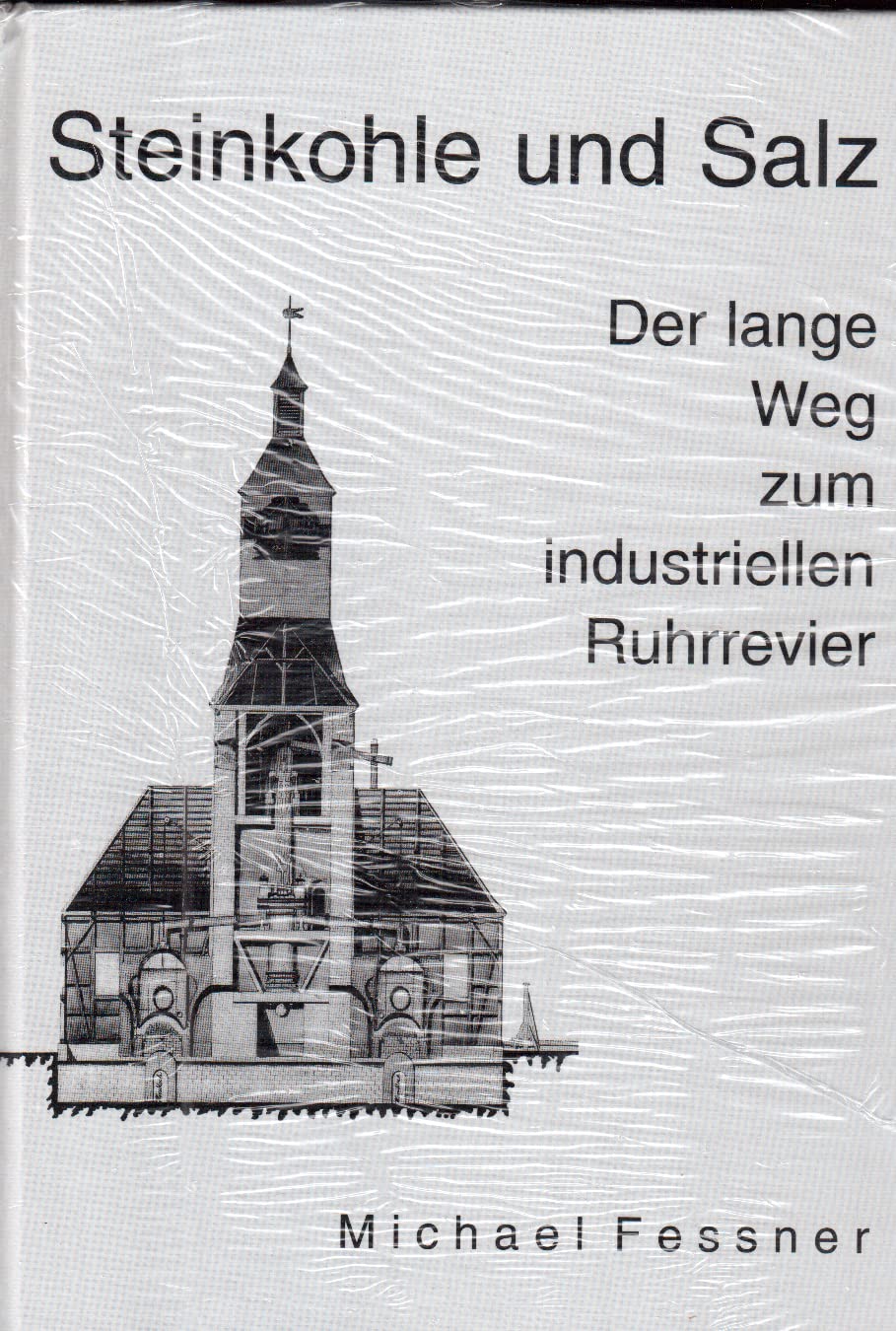 Steinkohle und Salz: Der lange Weg zum industriellen Ruhrrevier (Veröffentlichungen aus dem Deutschen Bergbau-Museum) Books