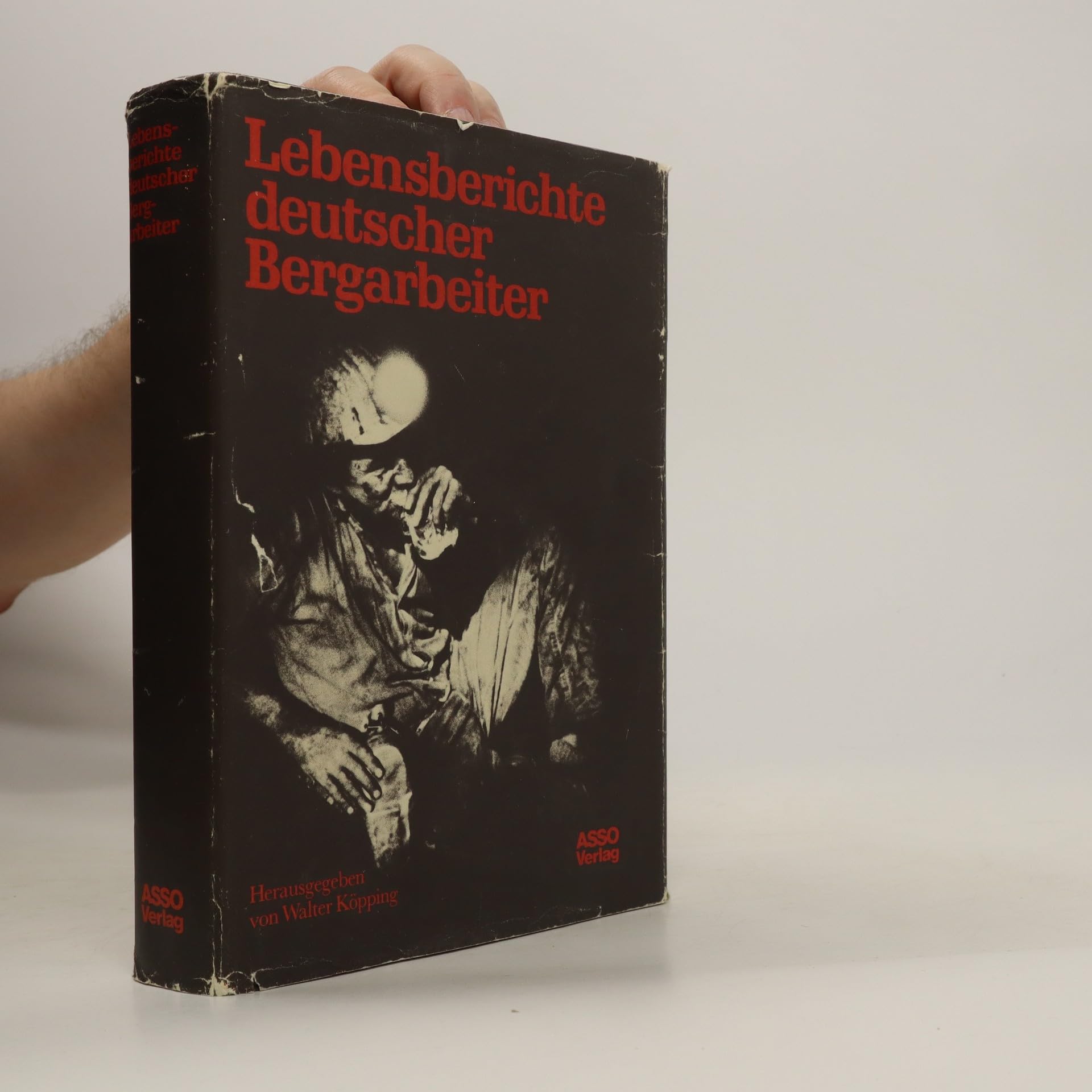 Lebensberichte deutscher Bergarbeiter Books