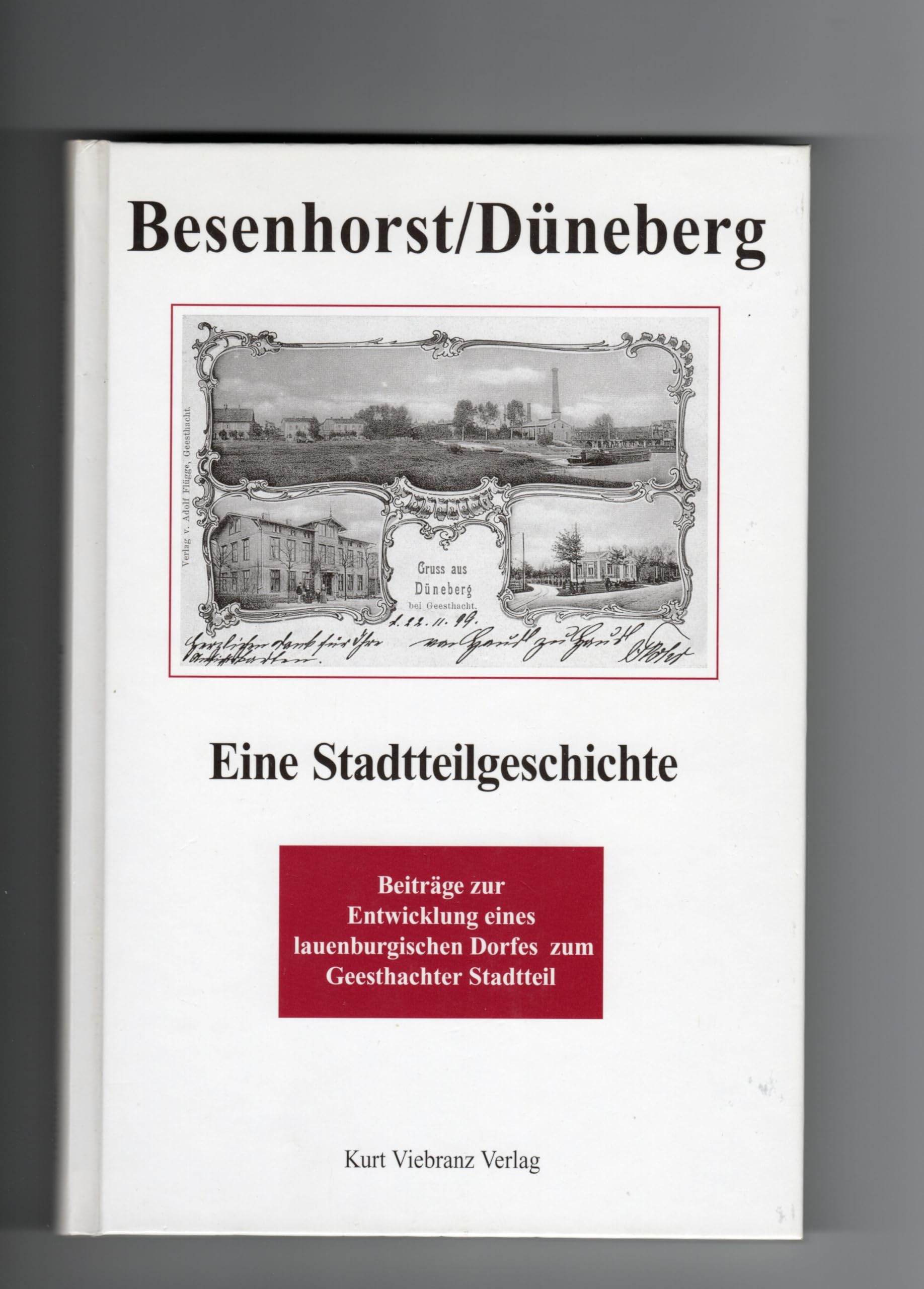 Besenhorst / Düneberg - Beiträge zur Entwicklung eines lauenburgischen Dorfes zum Geesthachter Stadtteil Books