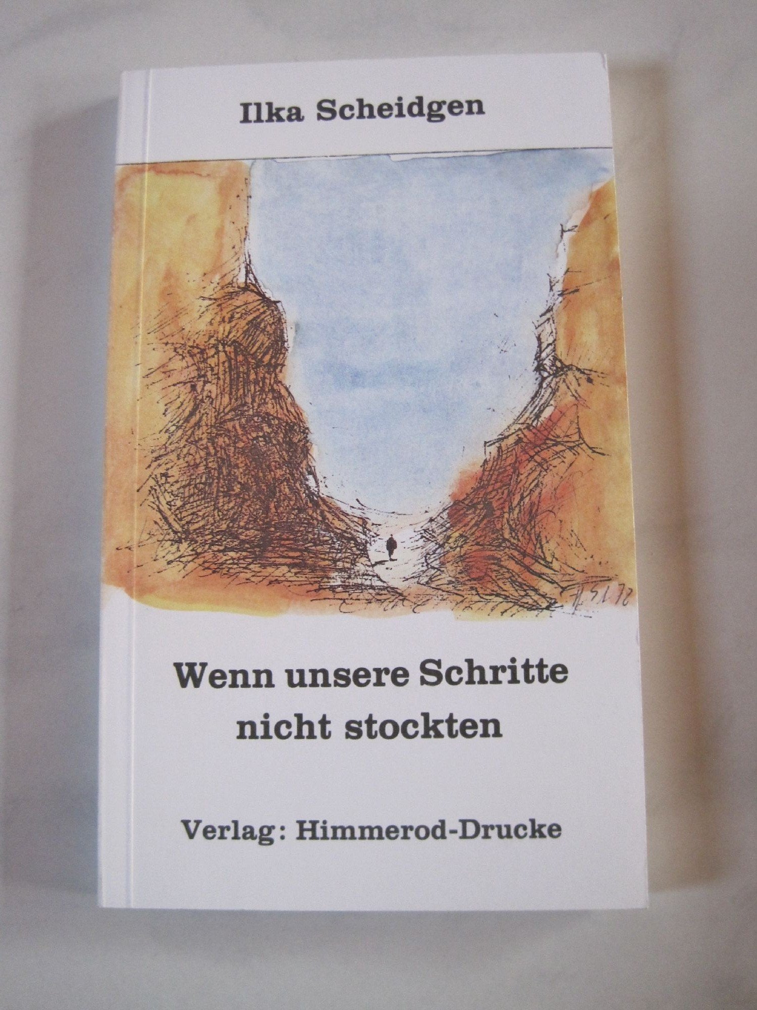 Wenn unsere Schritte nicht stockten (Himmeroder Buchreihe) Books