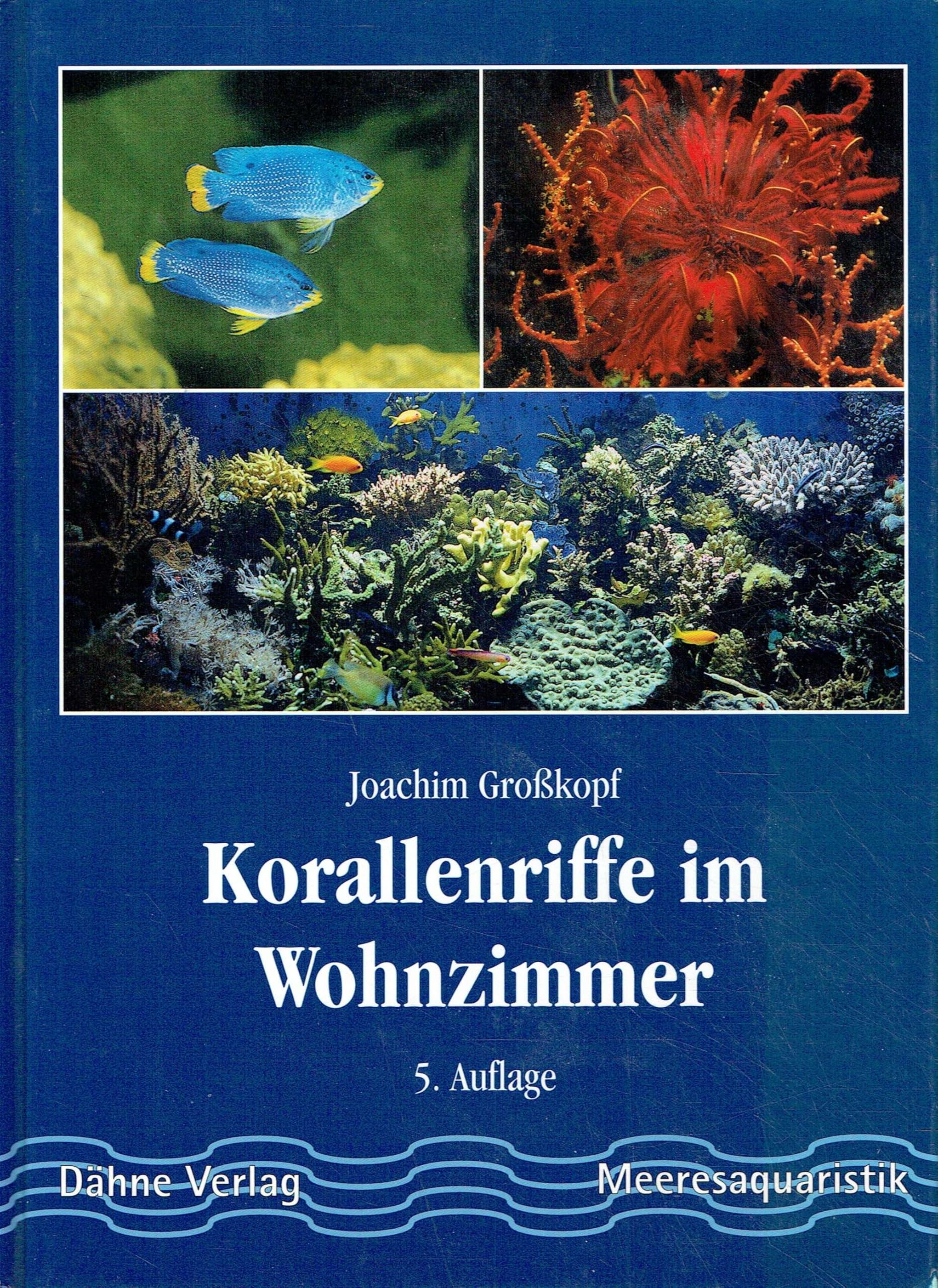 Korallenriffe im Wohnzimmer Pets