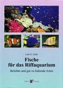 Fische für das Riffaquarium: Beliebte und gut zu haltende Arten Pets