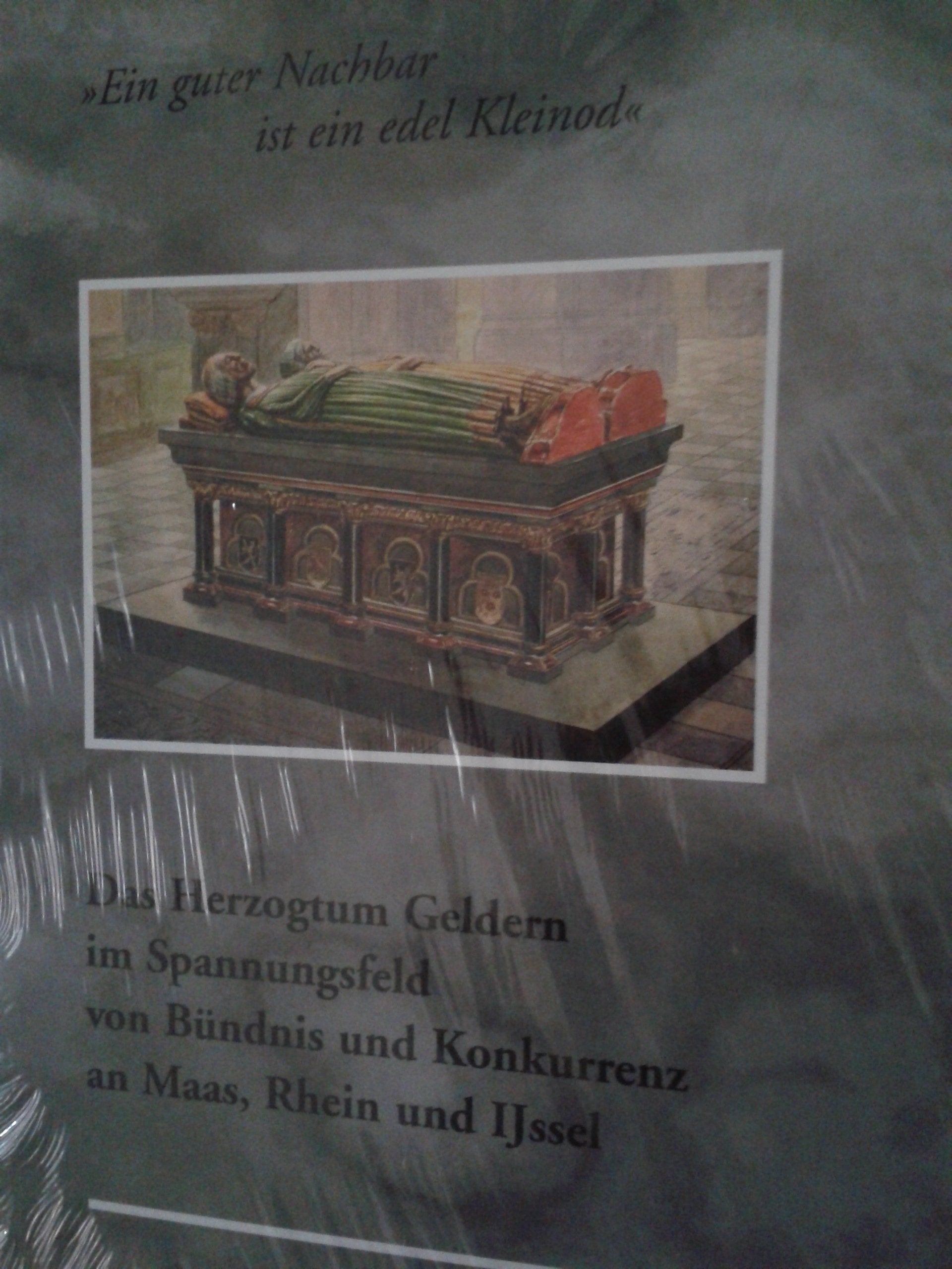 Ein guter Nachbar ist ein edel Kleinod: Das Herzogtum Geldern im Spannungsfeld von Bündnis und Konkurrenz an Maas, Rhein und Ijssel Politics & History