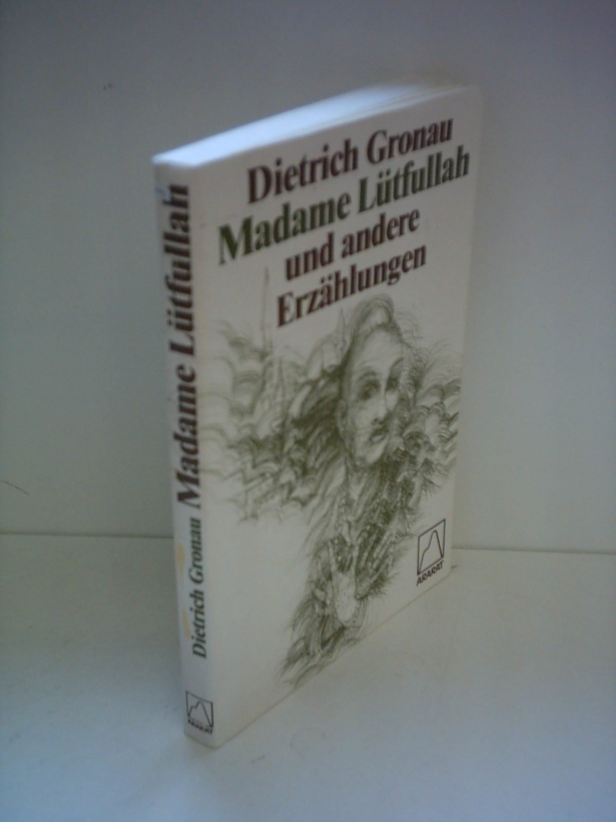 Madame Lütfullah und andere Erzählungen Books