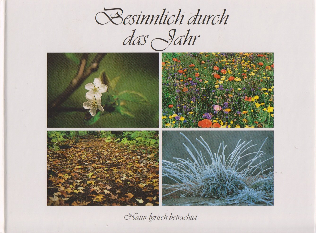 Besinnlich durch das Jahr. Natur lyrisch betrachtet Books