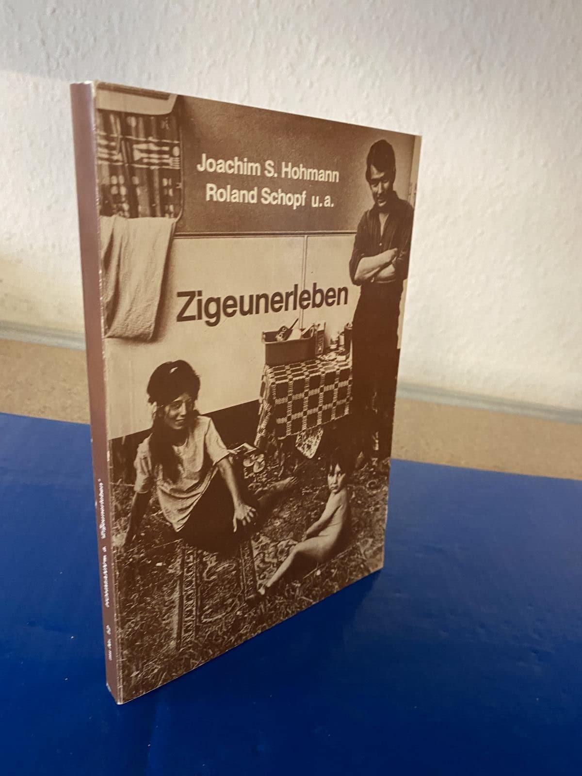 Zigeunerleben. Beiträge zur Sozialgeschichte einer Verfolgung Books