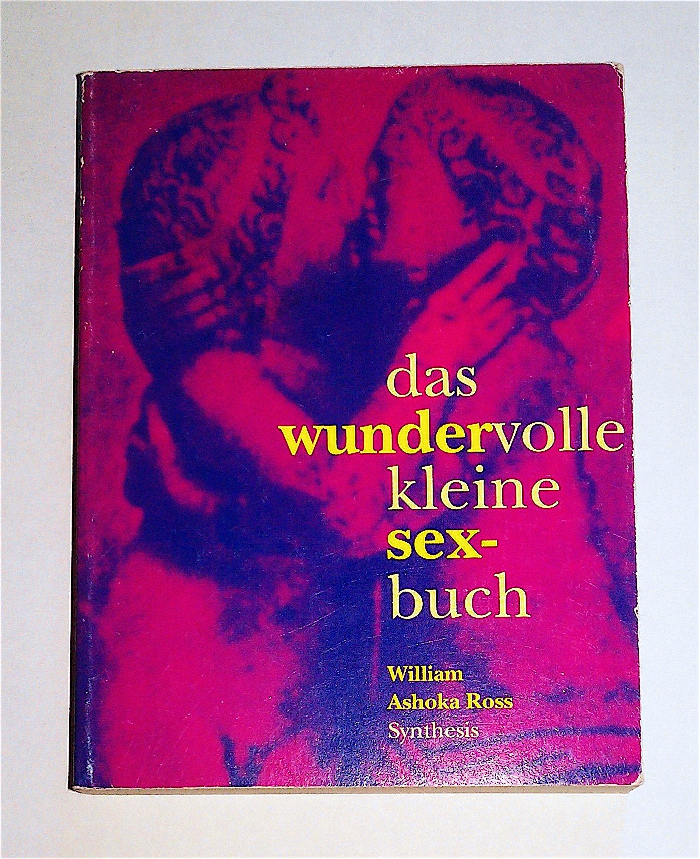 Das wundervolle kleine Sexbuch Partnership & Love