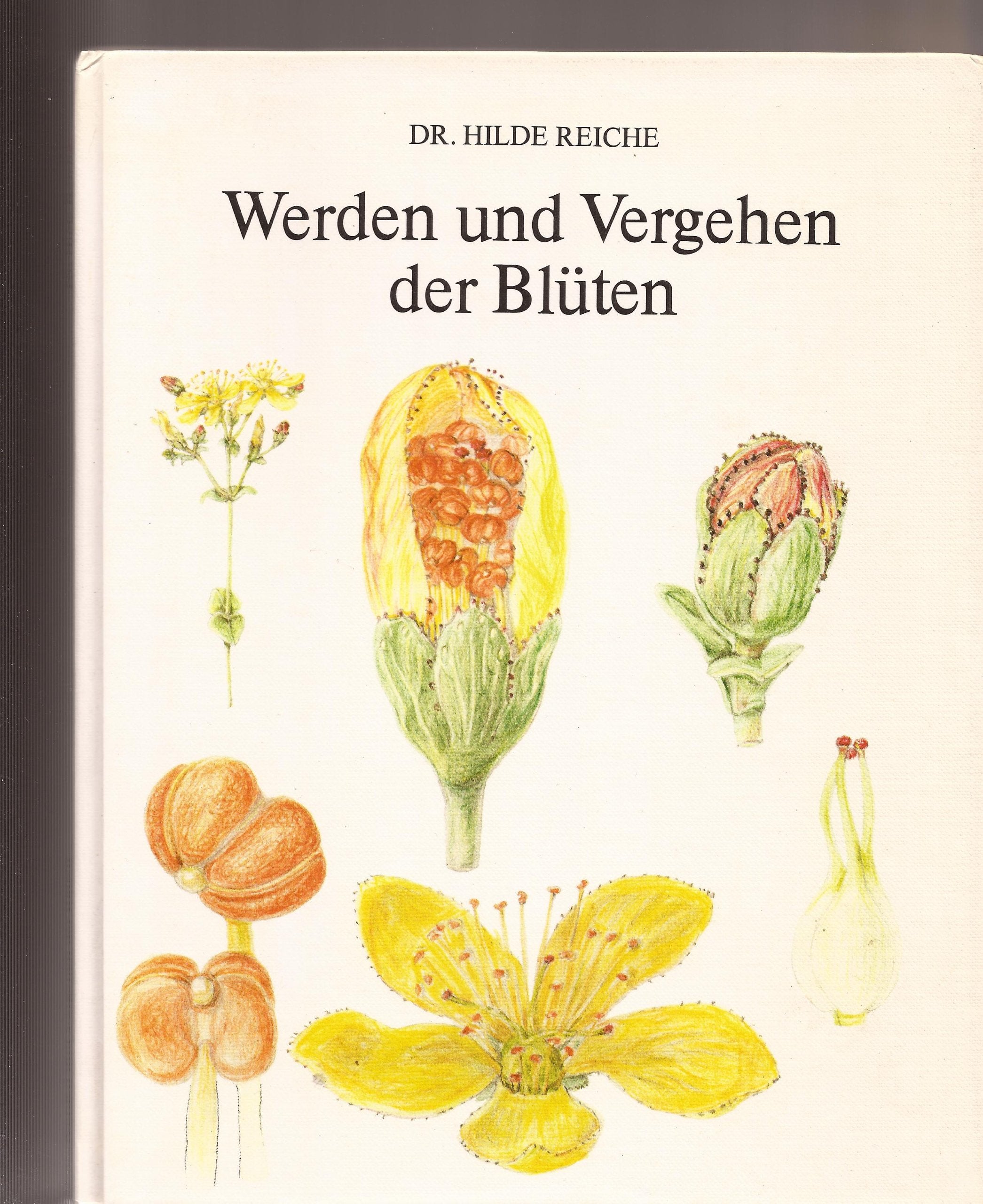 Werden und Vergehen der Blüten - Form- und Farbwunder der Pflanzenwelt. Books