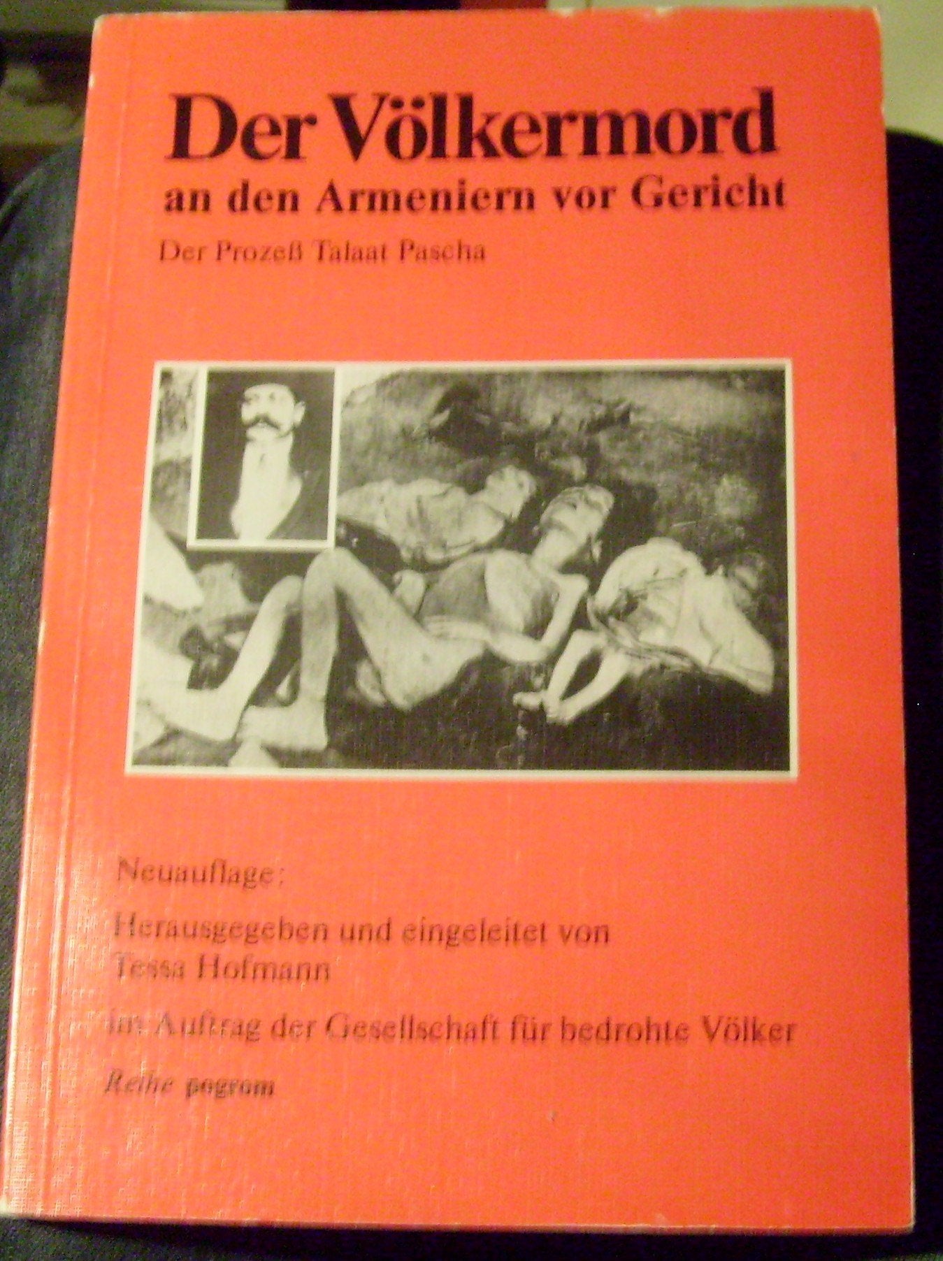 Der Völkermord an den Armeniern vor Gericht: Der Prozess Talaat Pascha (Für Vielfalt: Zeitschrift für Menschen- und Minderheitenrechte) Books