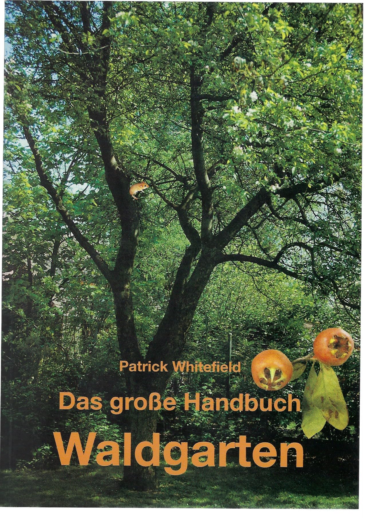 Das große Handbuch Waldgarten Garden & Plants