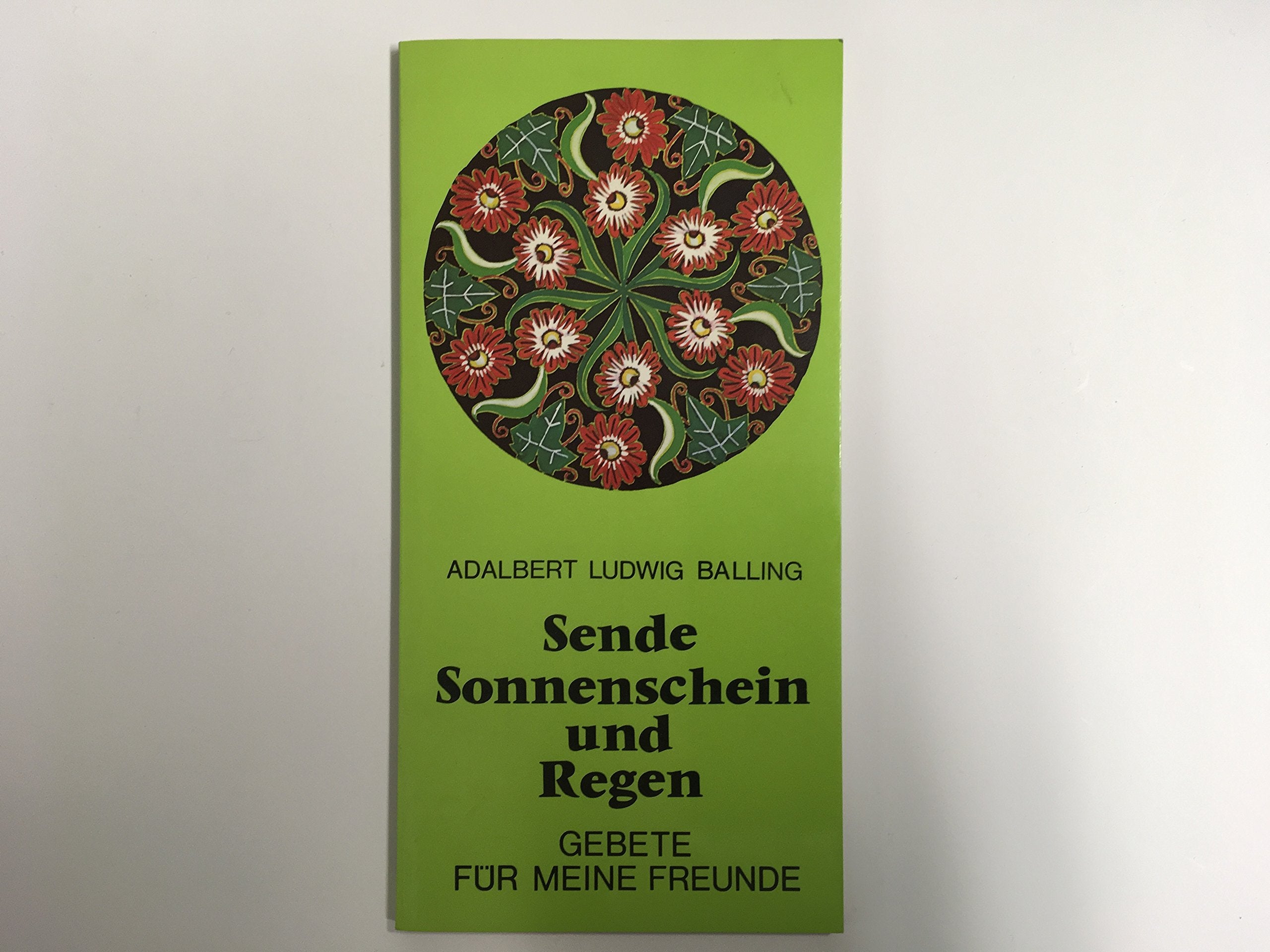 Sende Sonnenschein und Regen. Gebete für meine Freunde Books