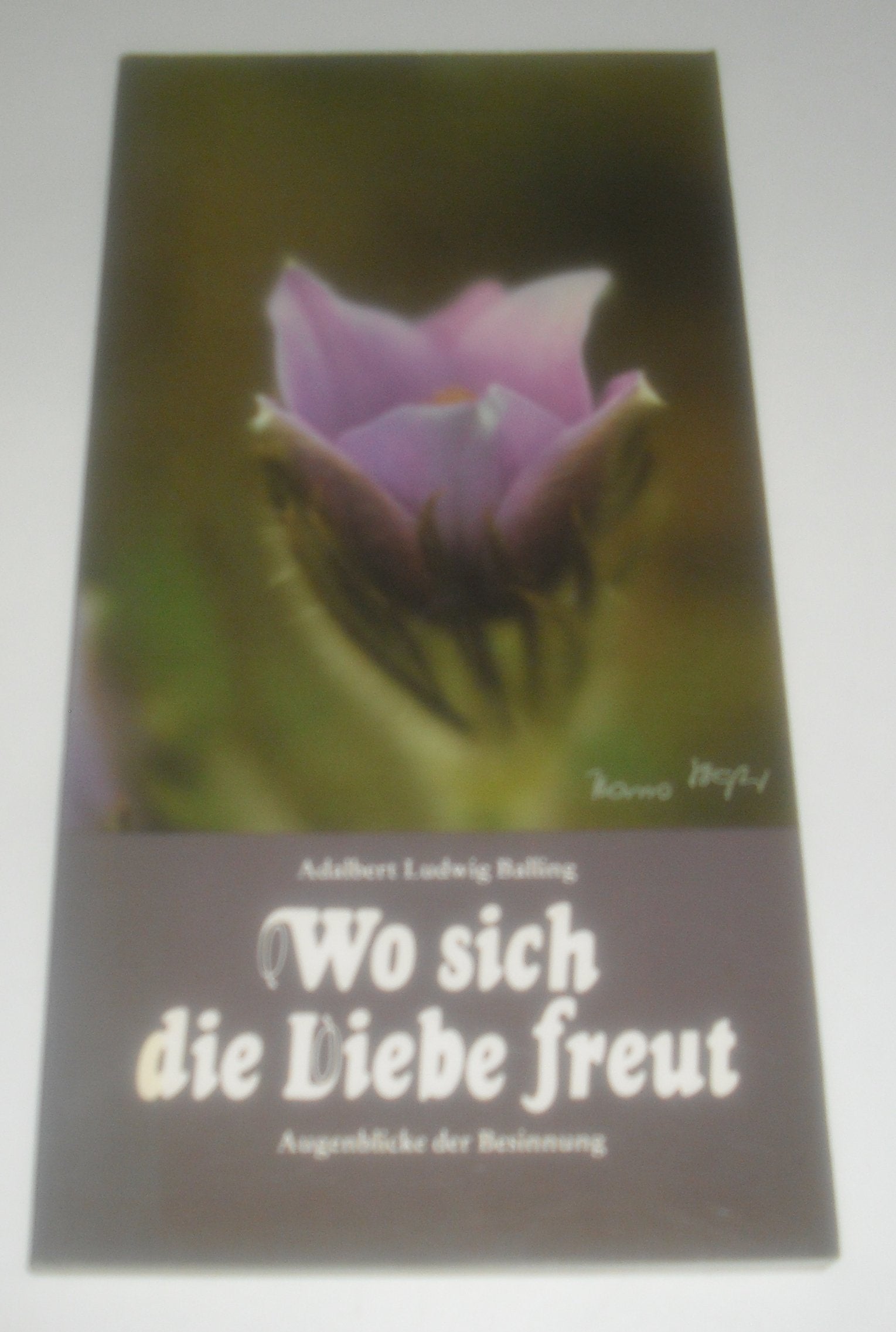 Wo sich die Liebe freut. Augenblicke der Besinnung Books