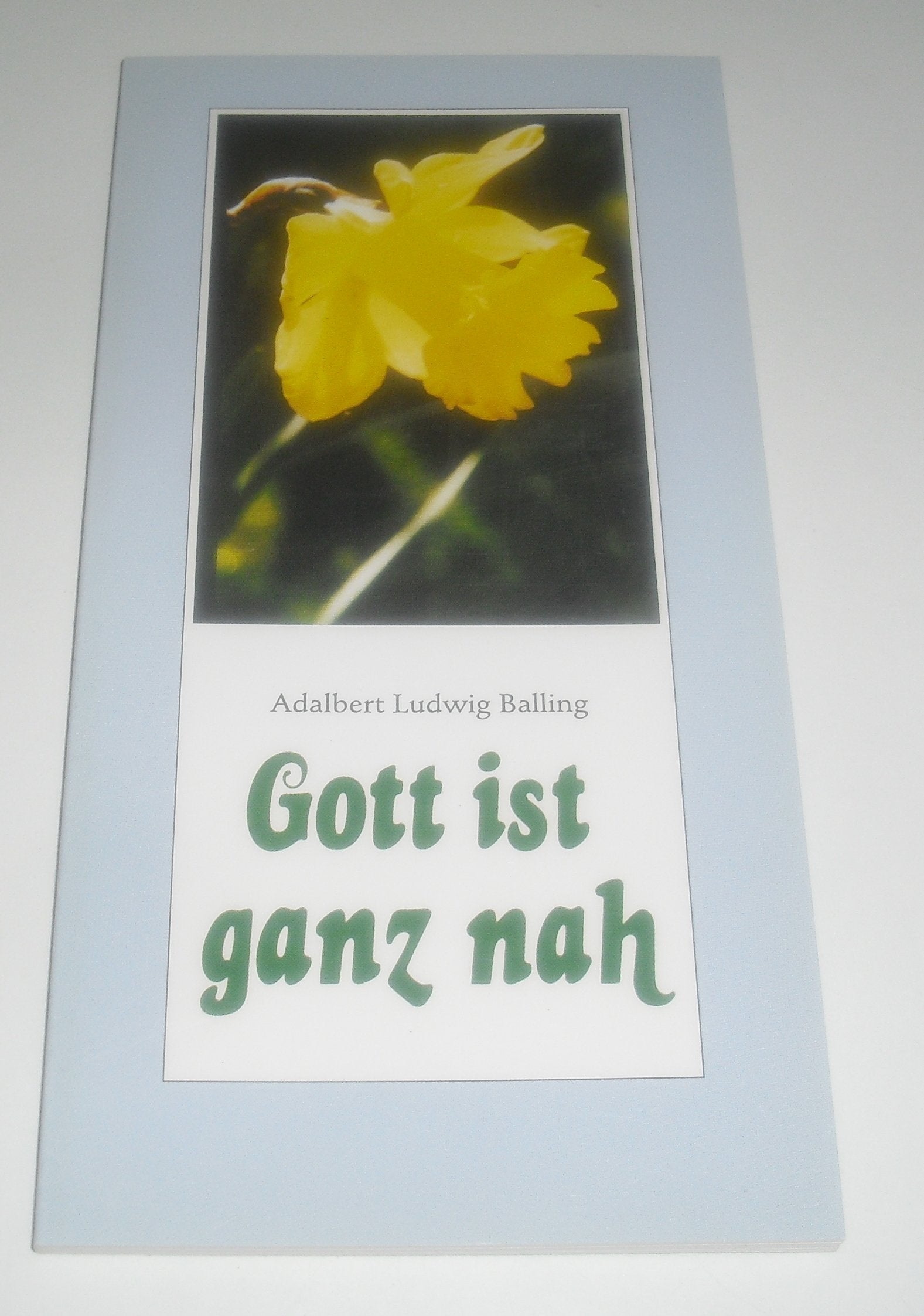 Gott ist ganz nah: Minuten-Meditationen zu Bibelworten (Mariannhiller Geschenkbände) Books