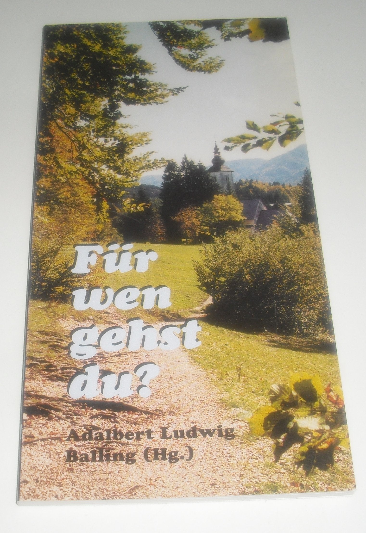 Für wen gehst du?: Ordensleute berichten über ihre Berufung (Mariannhiller Geschenkbände) Memories