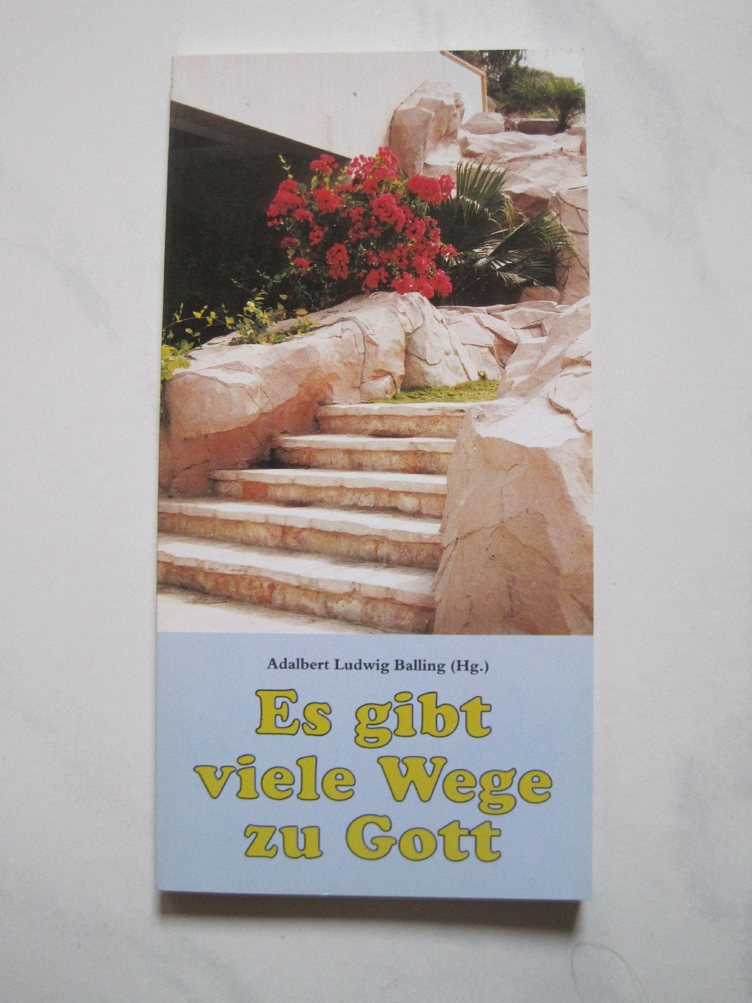 Es gibt viele Wege zu Gott: Ordensfrauen berichten über ihre Berufung (Mariannhiller Geschenkbände) Lifestyle