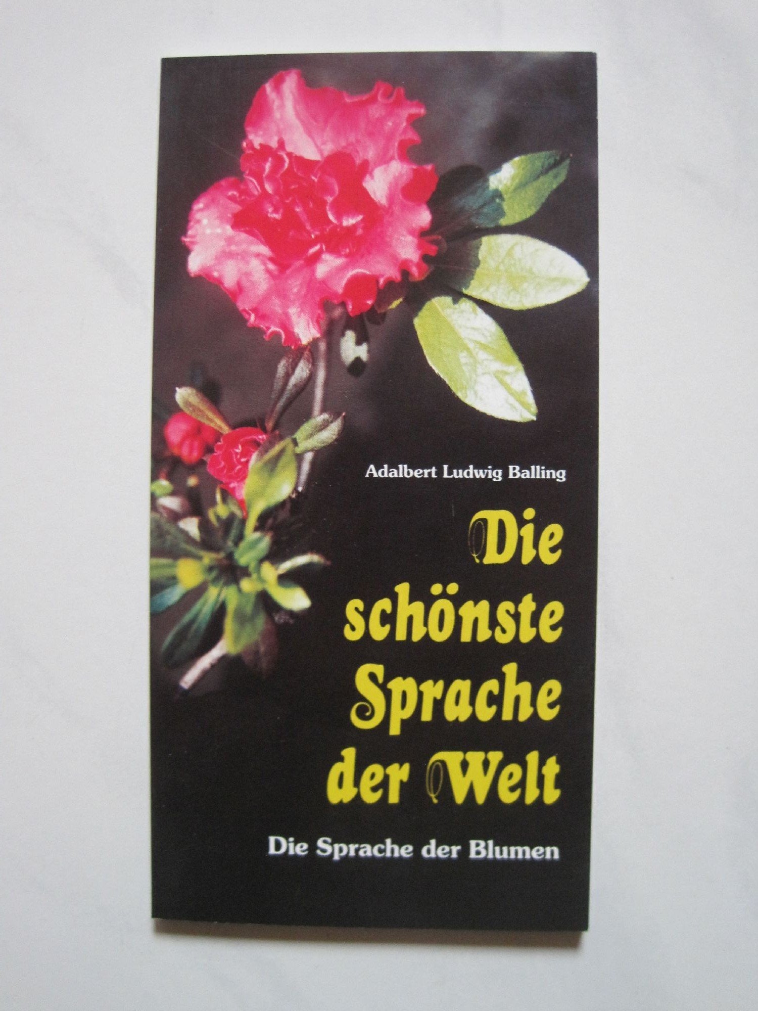 Die schönste Sprache der Welt: Die Sprache der Blumen (Mariannhiller Geschenkbände) Lifestyle