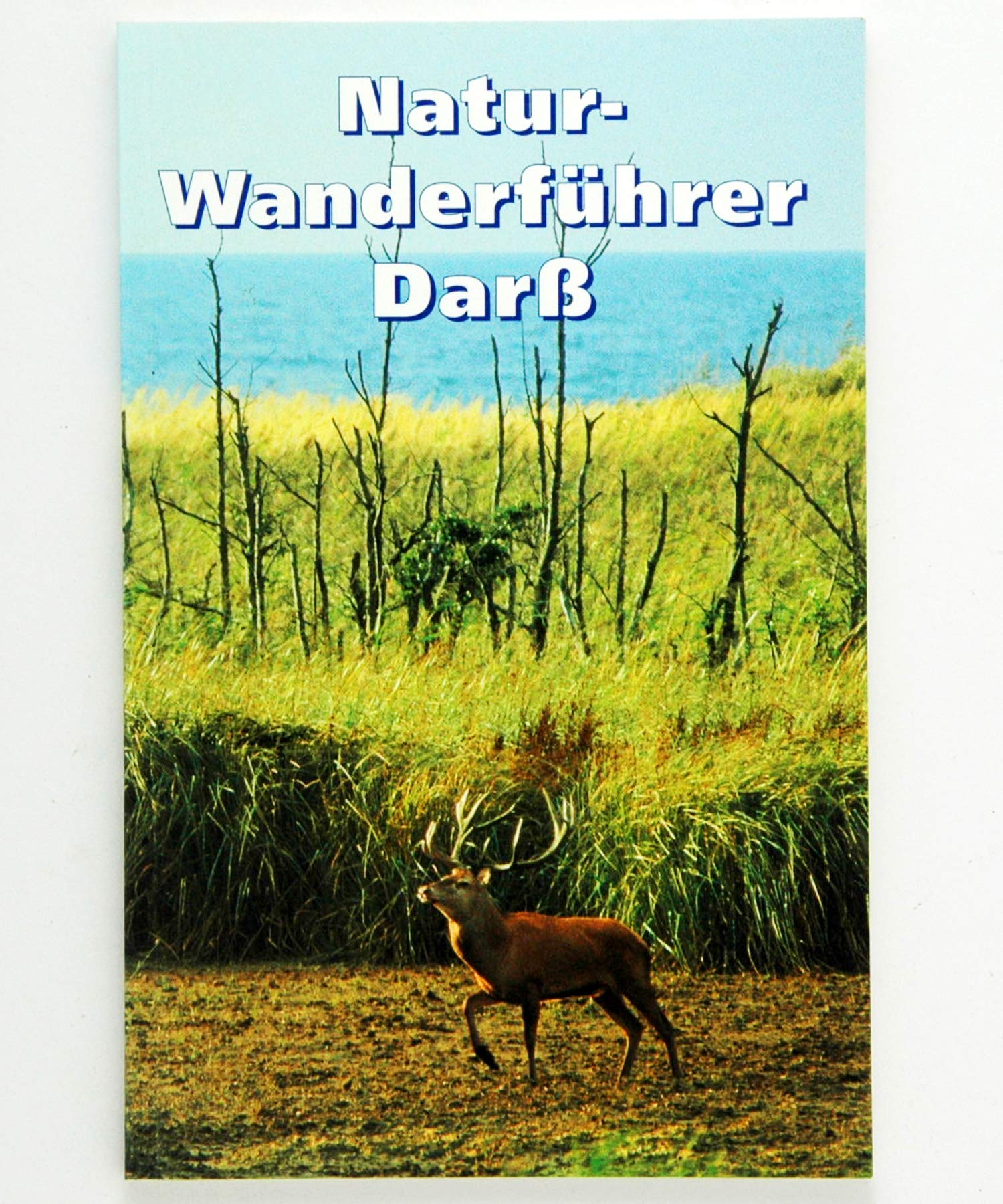 Naturwanderführer Darss: Mit dem Forstmeister durch Wald und Flur. Die schönsten Fuss- und Radwanderungen auf dem Darss Travel