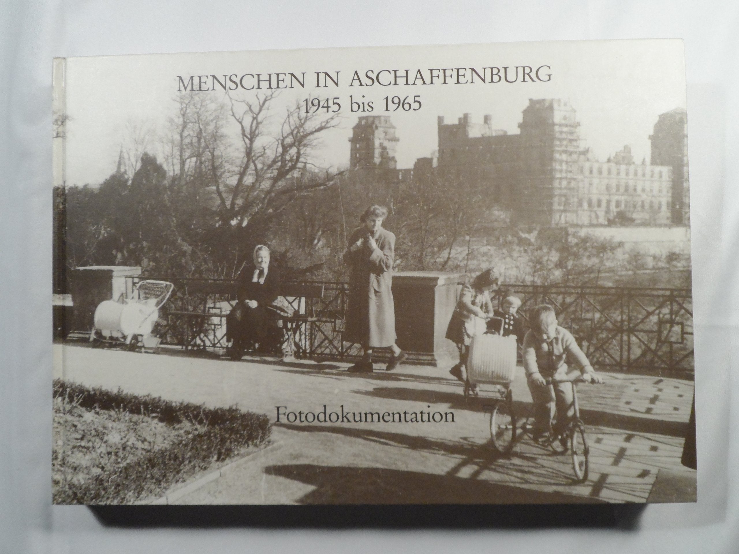 Menschen in Aschaffenburg 1945 bis 1965. Portrait einer Stadt und ihrer Bürger Books
