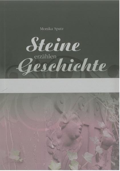 Steine erzählen Geschichte: Ein Rundgang über den Altstadtfriedhof in Aschaffenburg (Mitteilungen aus dem Stadt- und Stiftsarchiv Aschaffenburg: Beiheft) Politics & History