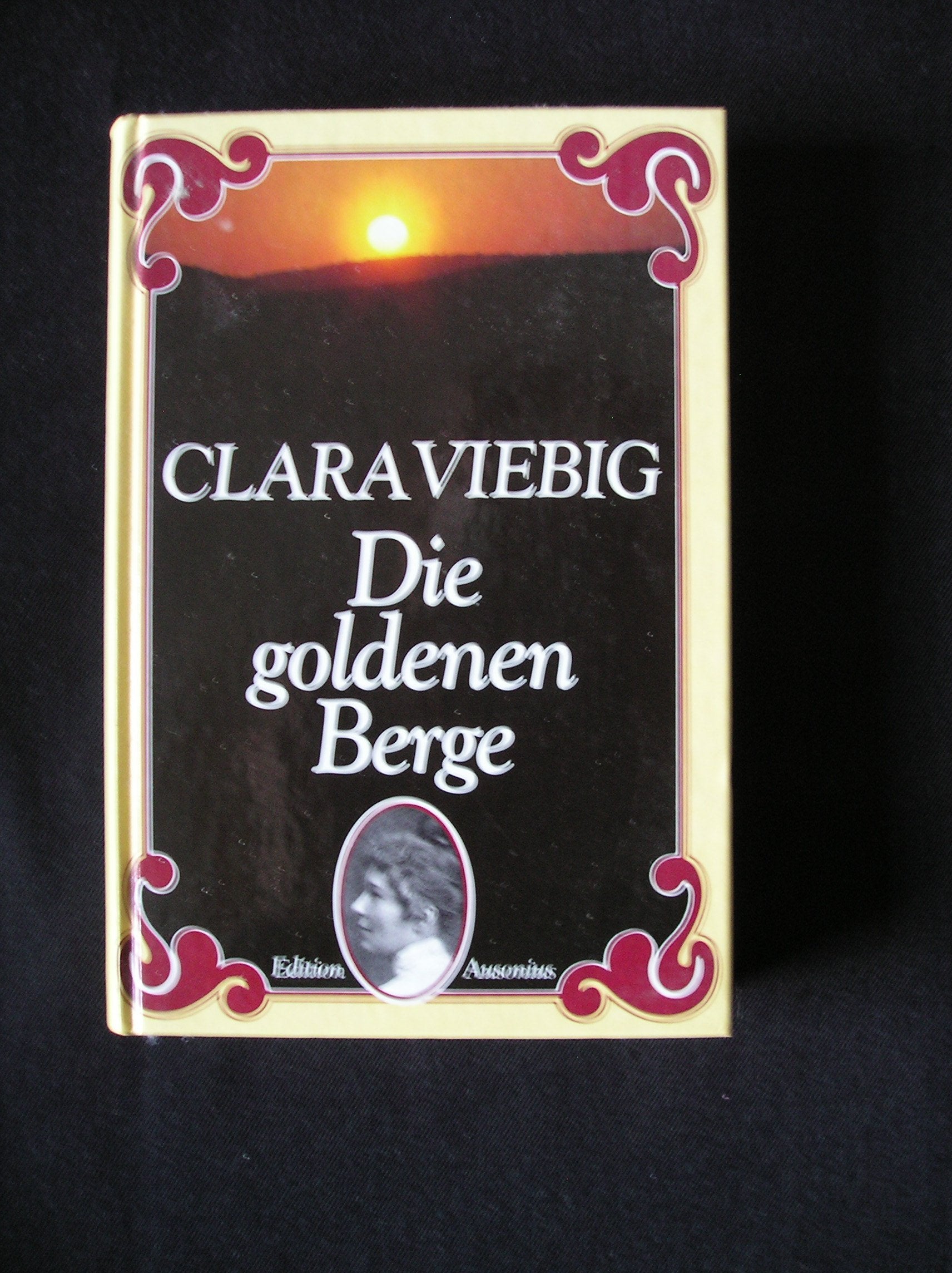 Die goldenen Berge - Roman Contemporary literature
