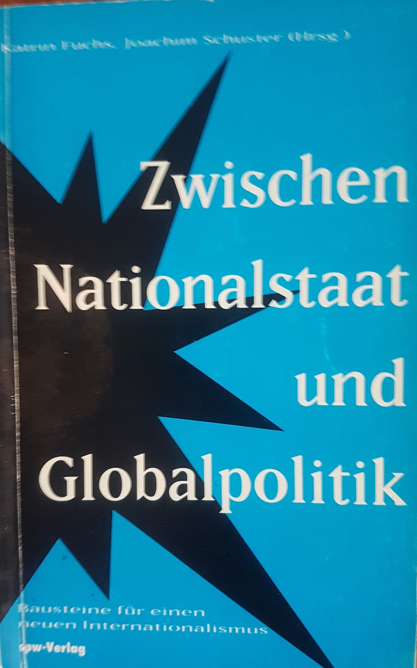 Zwischen Nationalstaat und Globalpolitik. Bausteine für einen neuen Internationalismus Books