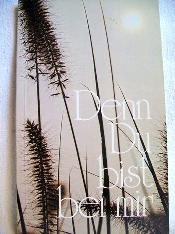 Denn Du bist bei mir: Gottes Trost am Krankenbett (Zahrenholzer Reihe - Gemeindeschrifttum) Religion & Esotericism