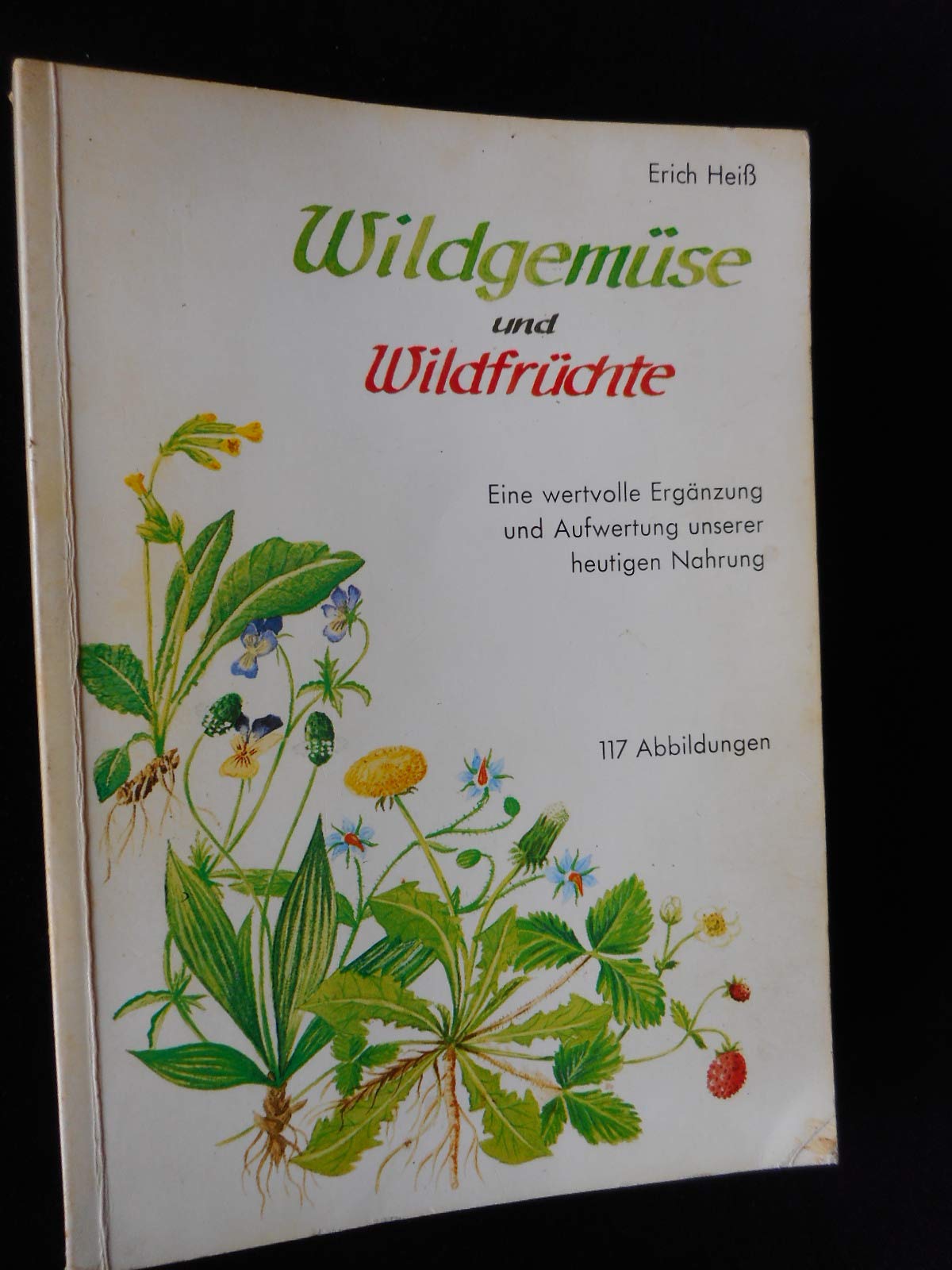 Wildgemüse und Wildfrüchte : e. wertvolle Erg. u. Aufwertung unserer heutigen Nahrung ; Salate, Gemüse, Früchte, Gewürze, Heiltee, Haustee aus d. freien Natur ; zahlr. Ratschläge für e. gesunde Lebensführung nach neuen Erkenntnissen u. eigenen Erfahrun... Books