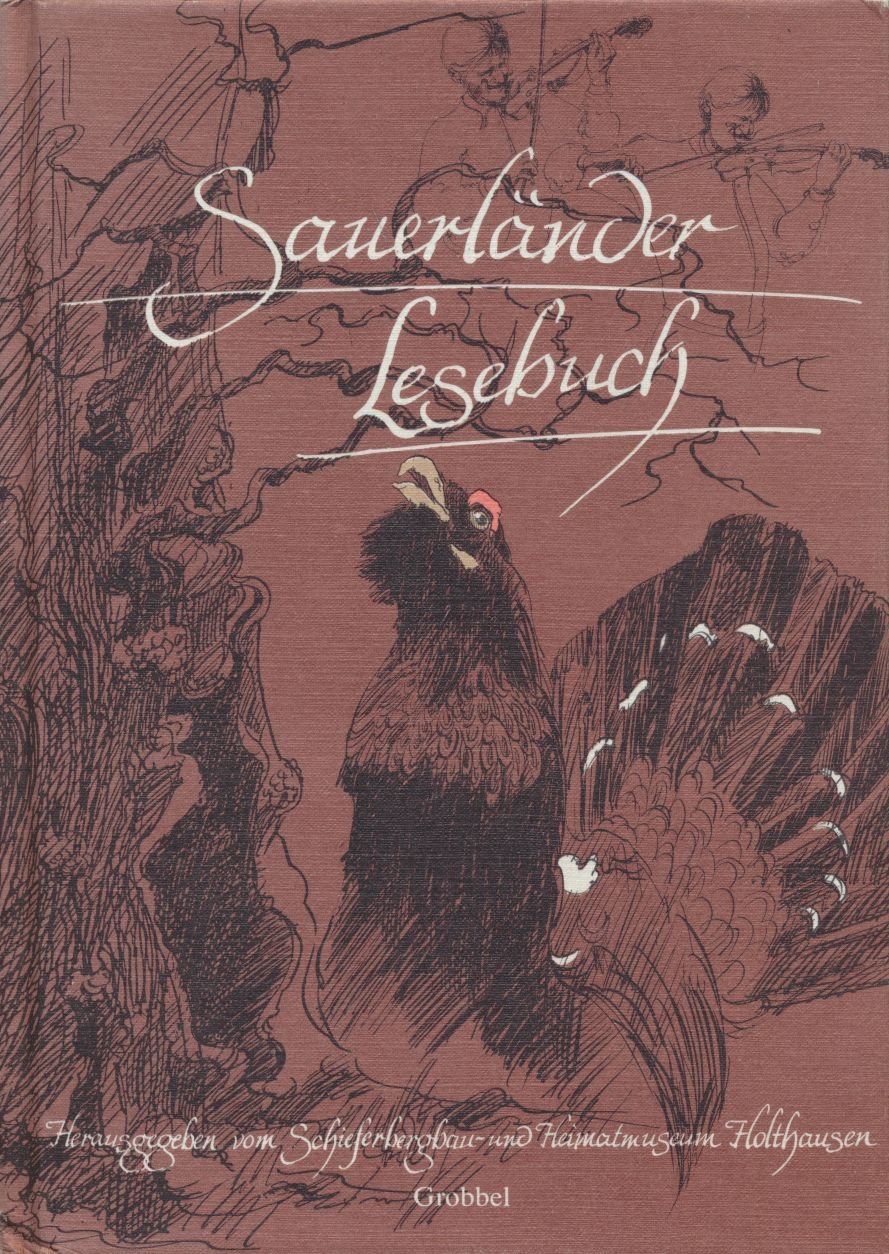 Product Image: Sauerländer Lesebuch