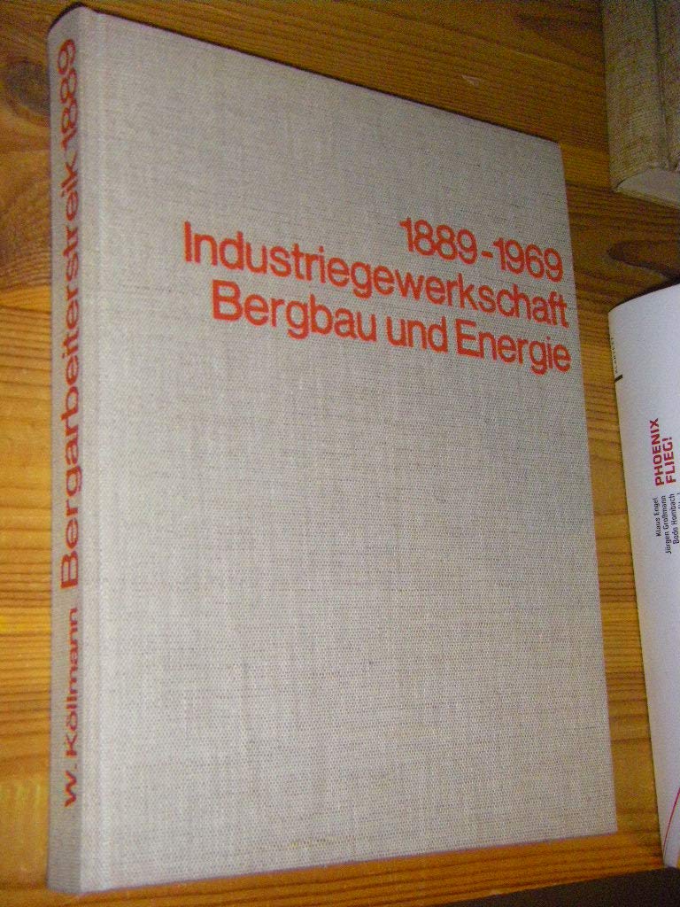Der Bergarbeiterstreik von 1889 und die Gründung des "Alten Verbandes" in ausgewählten Dokumenten Books