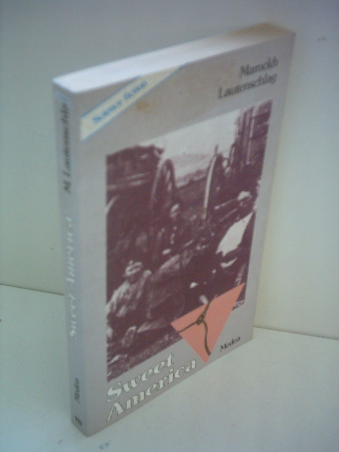 Sweet America: Science Fiction Books