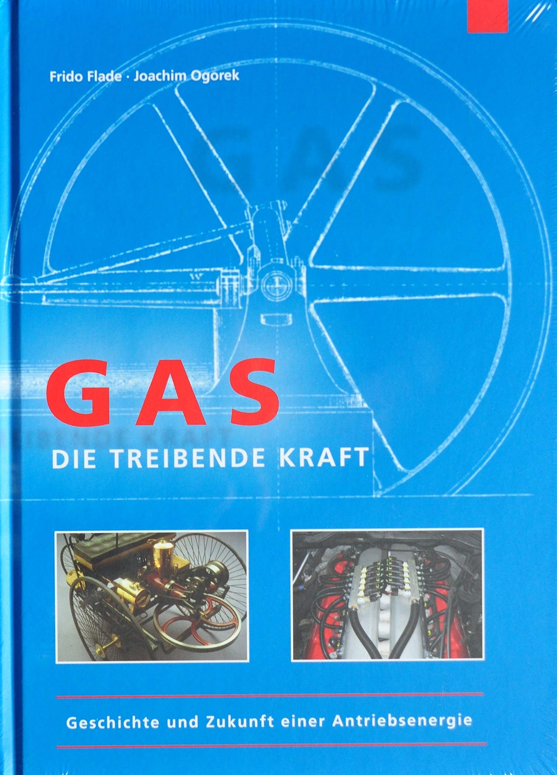 Gas – Die treibende Kraft: Geschichte und Zukunft einer Antriebsenergie Natural Sciences