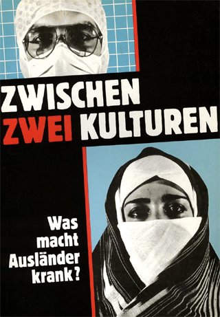 Zwischen zwei Kulturen. Was macht Ausländer krank? Books