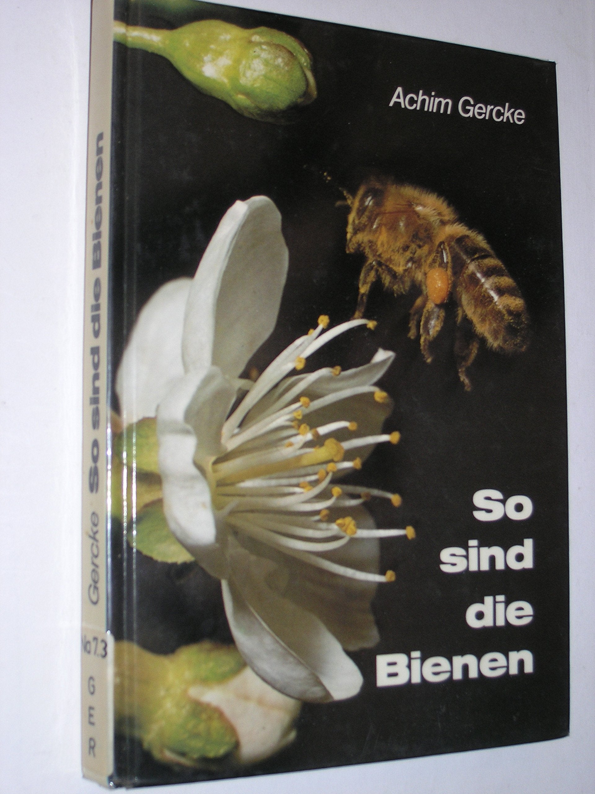 Product Image: So sind die Bienen
