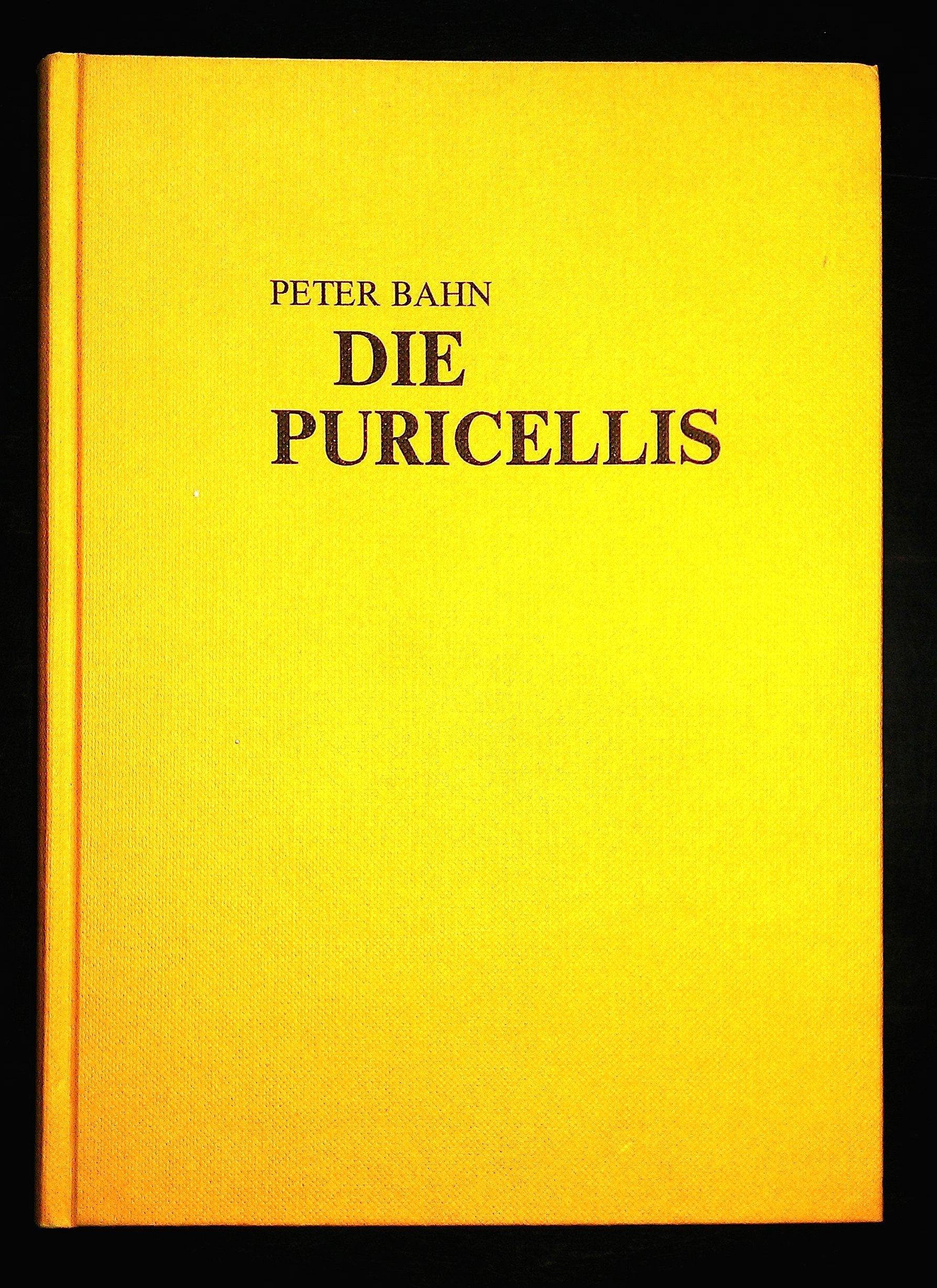 Die Puricellis: Geschichte und Wirken einer rheinischen Industriellen-Familie Business & Technology