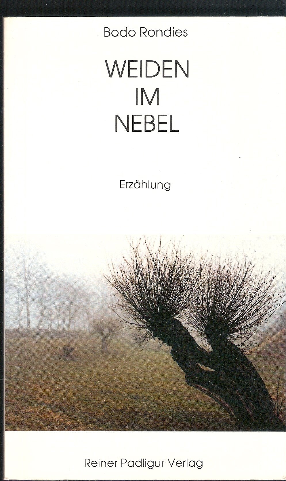 Weiden im Nebel. Erzählung Contemporary literature