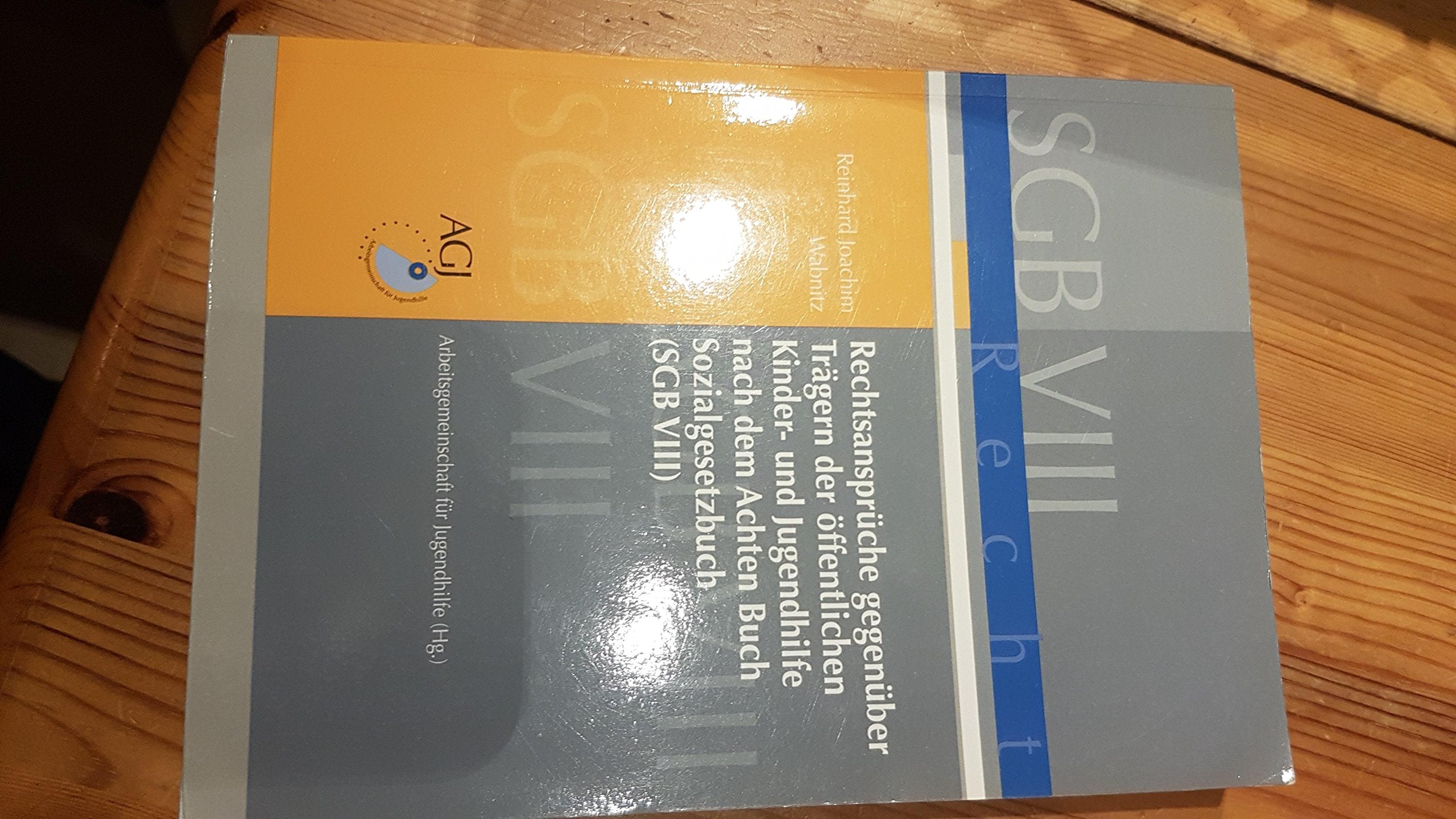 Rechtsansprüche gegenüber Trägern der öffentlichen Kinder- und Jugendhilfe nach dem Achten Buch Sozialgesetzbuch (SGB VIII) Books