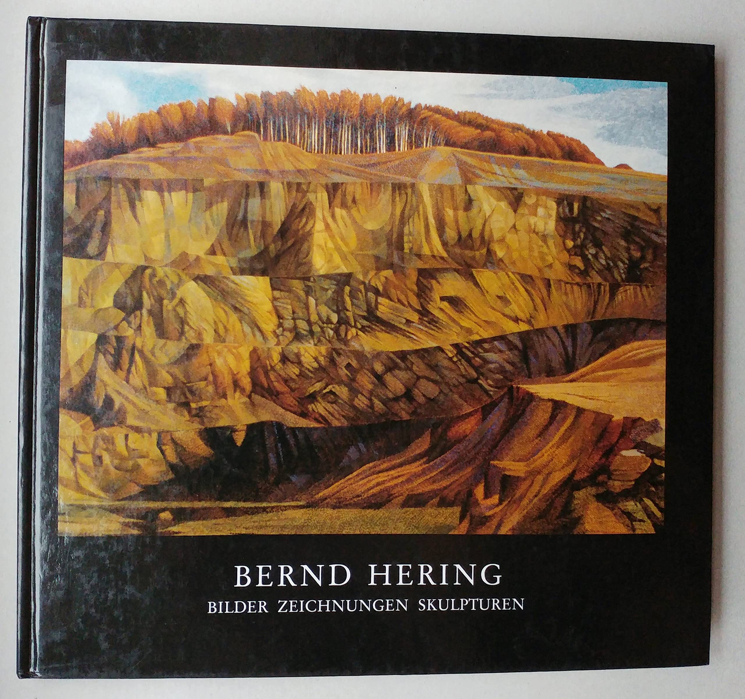 Bernd Hering. Bilder Zeichnungen Skulpturen aus den Jahren 1973-1993 Books